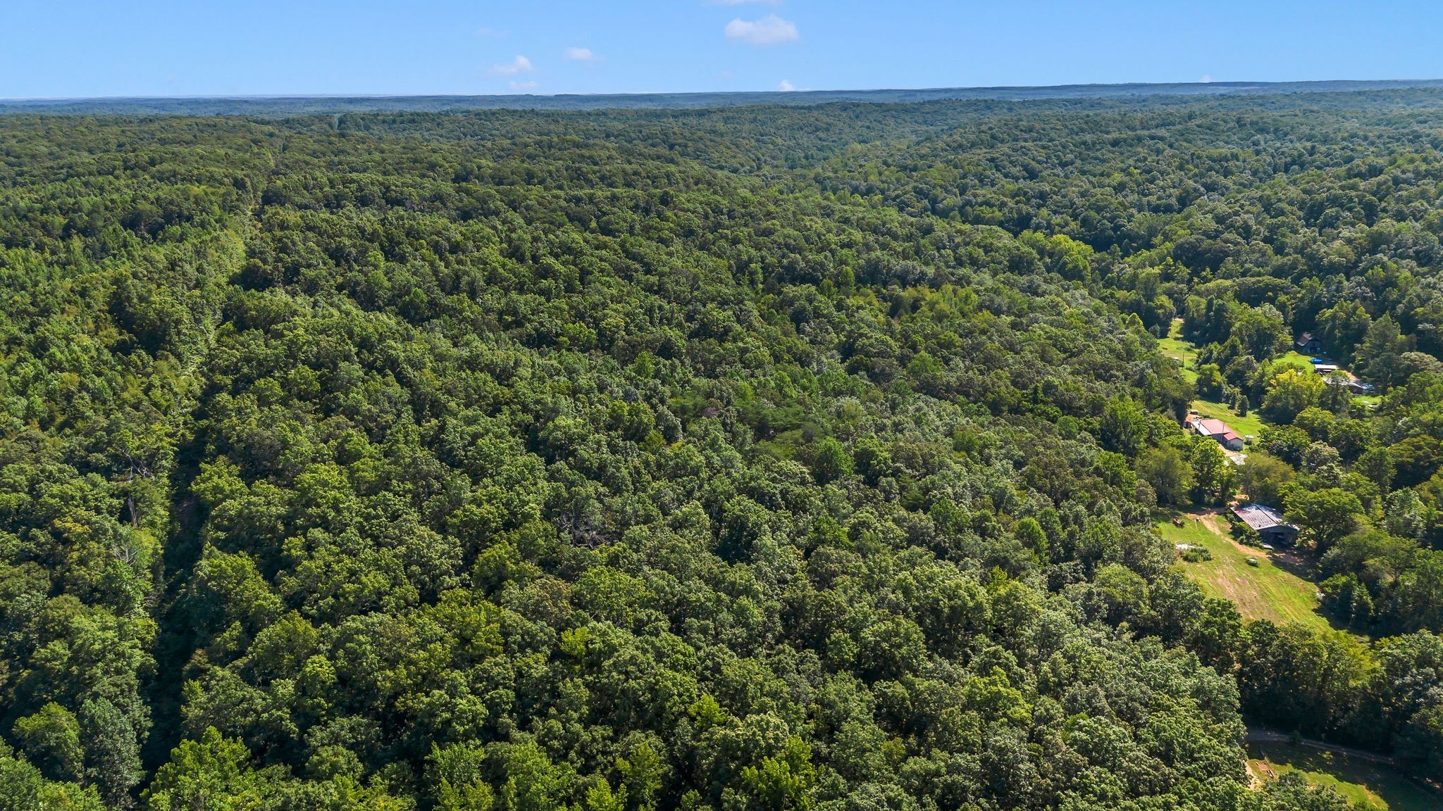 1369 Tanner Hollow Rd Property Photo 10