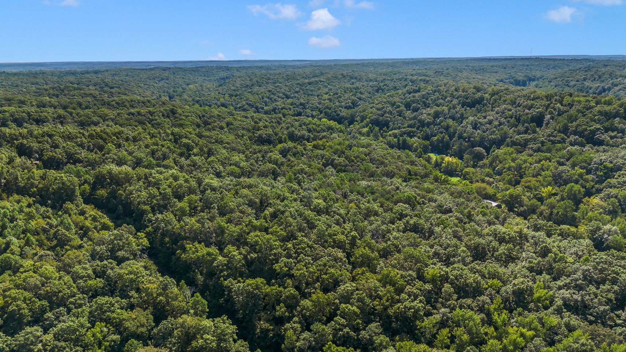 1369 Tanner Hollow Rd Property Photo 11