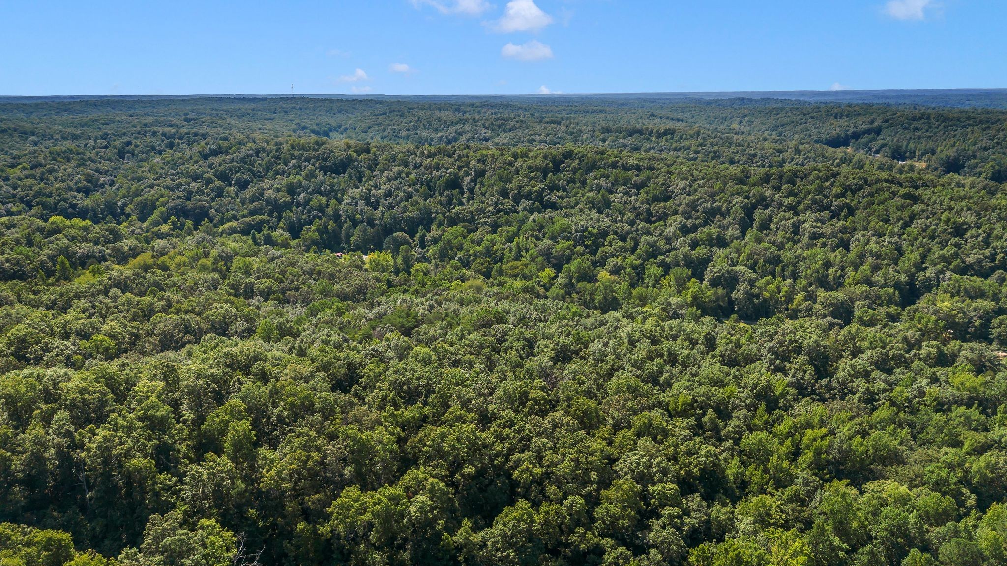 1369 Tanner Hollow Rd Property Photo 12