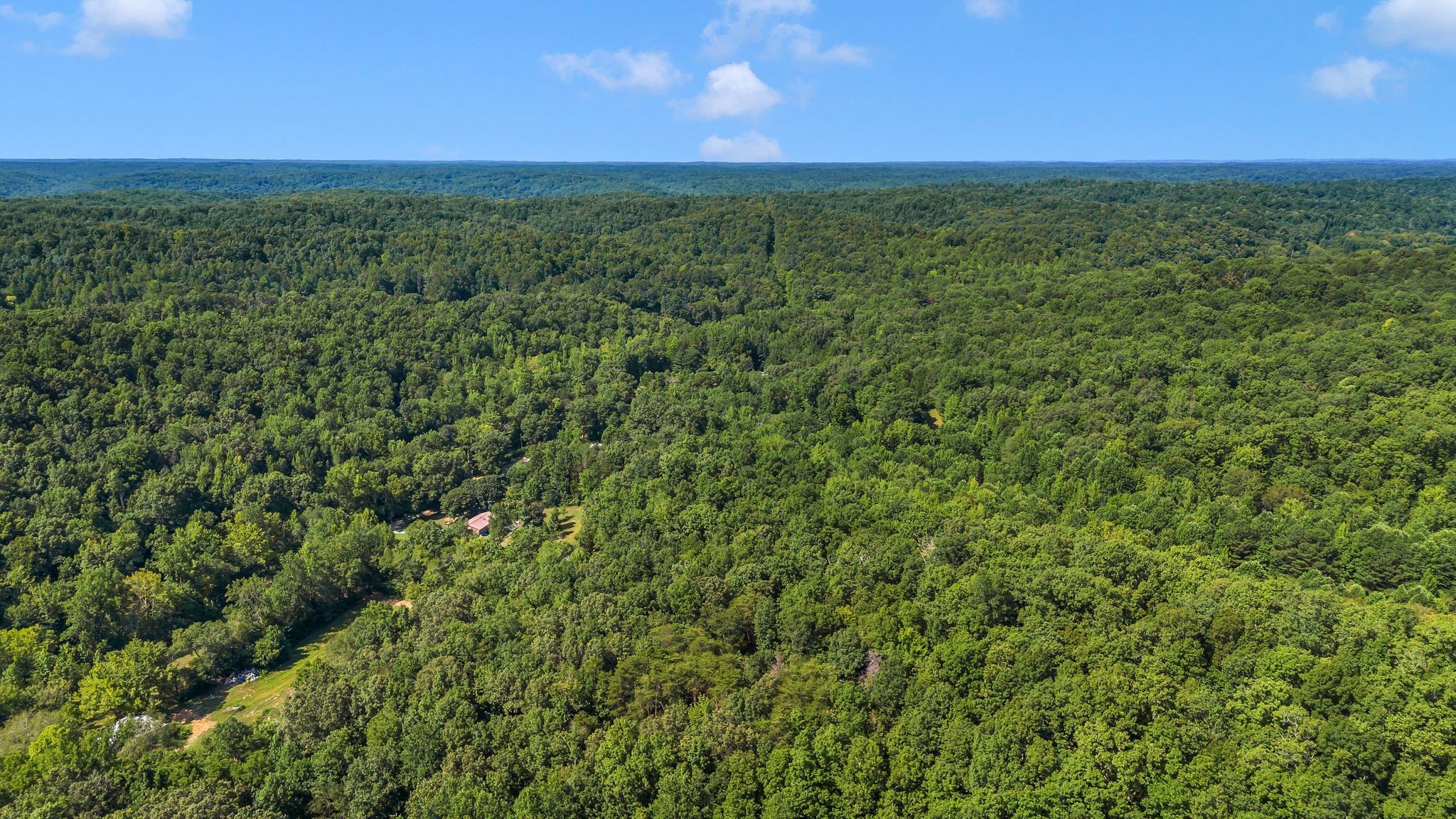 1369 Tanner Hollow Rd Property Photo 14