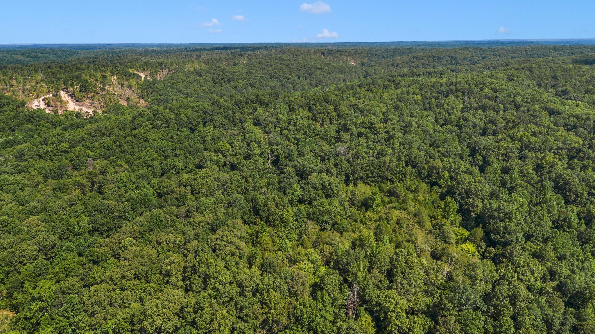 1369 Tanner Hollow Rd Property Photo 16