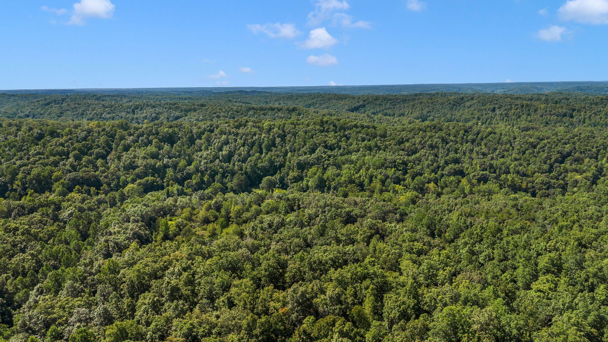 1369 Tanner Hollow Rd Property Photo 17