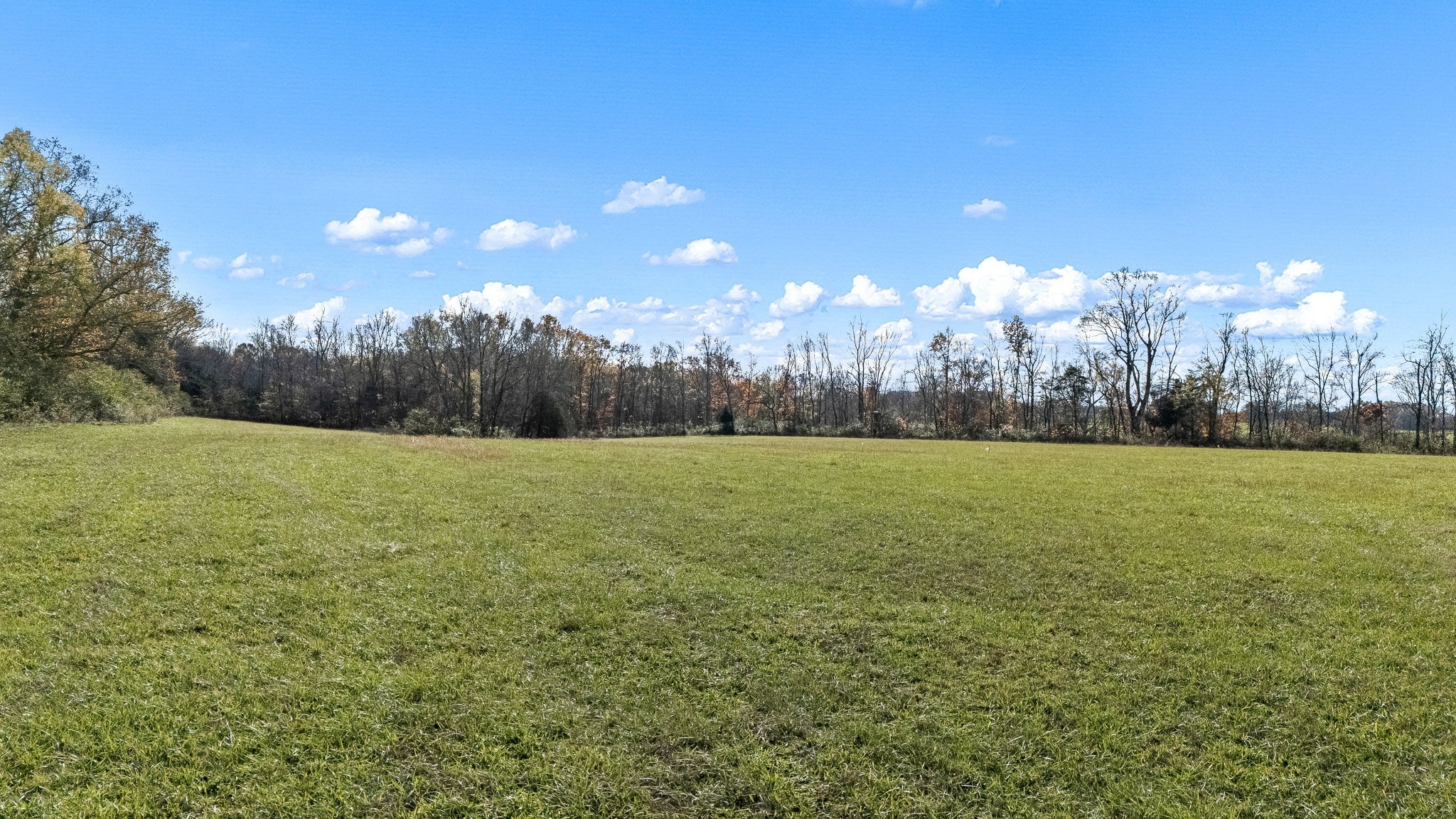 3560 Old Mcminnville Hwy Property Photo 17