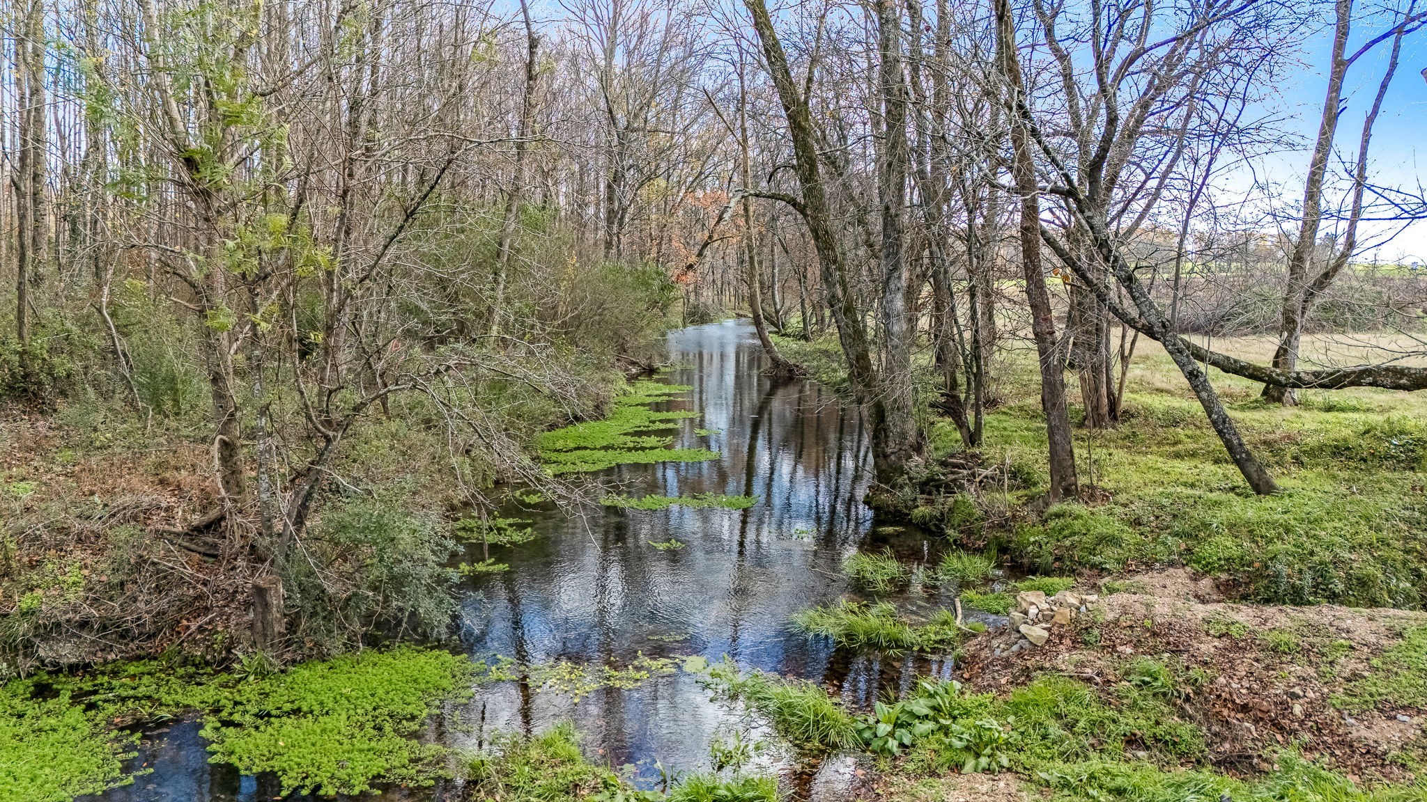 3560 Old Mcminnville Hwy Property Photo 21