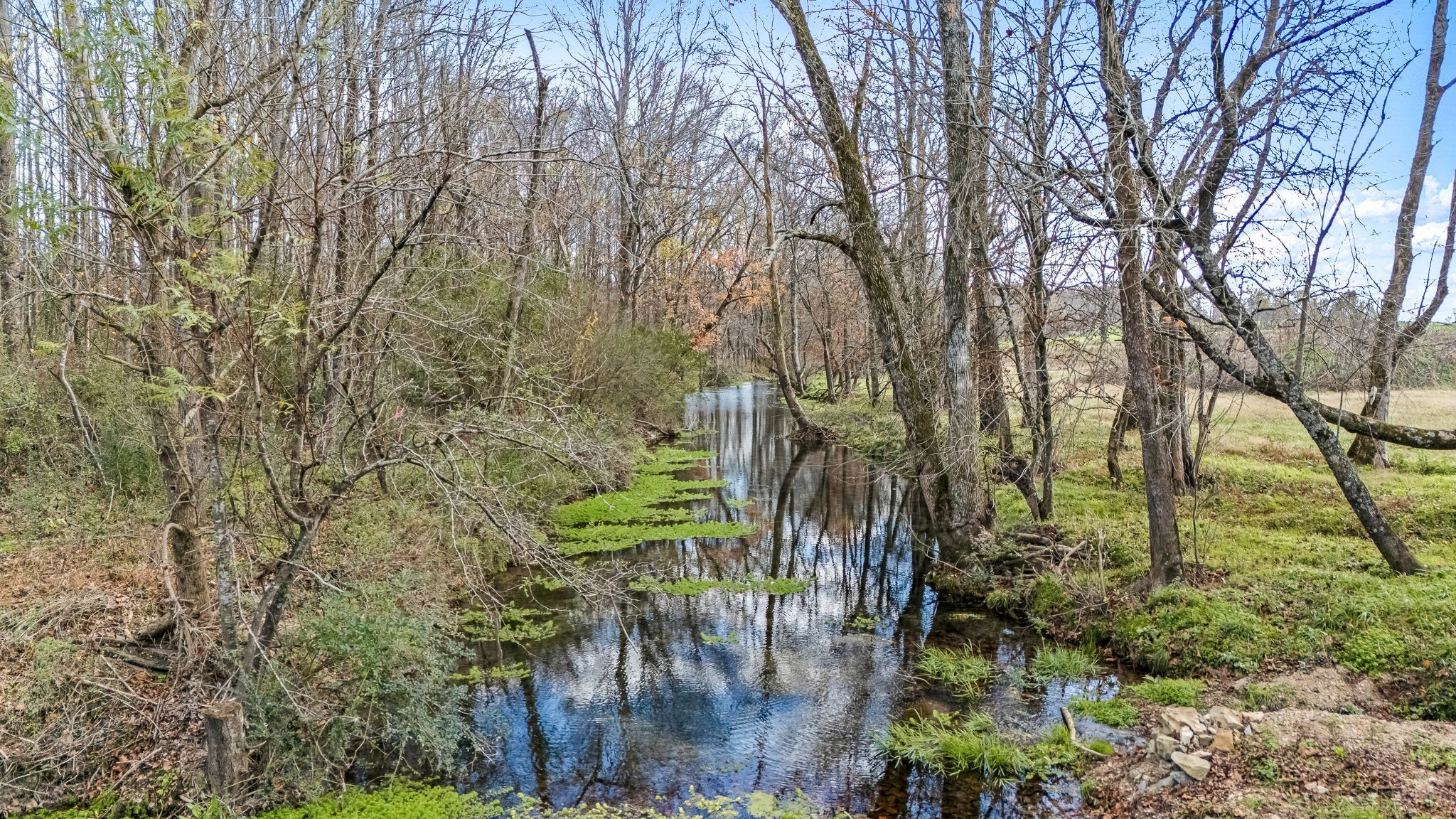 3560 Old Mcminnville Hwy Property Photo 23