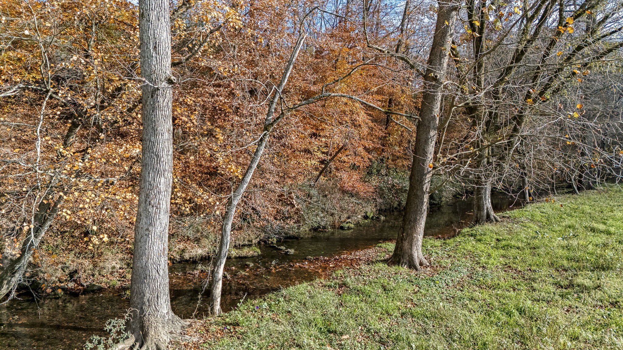 3560 Old Mcminnville Hwy Property Photo 25