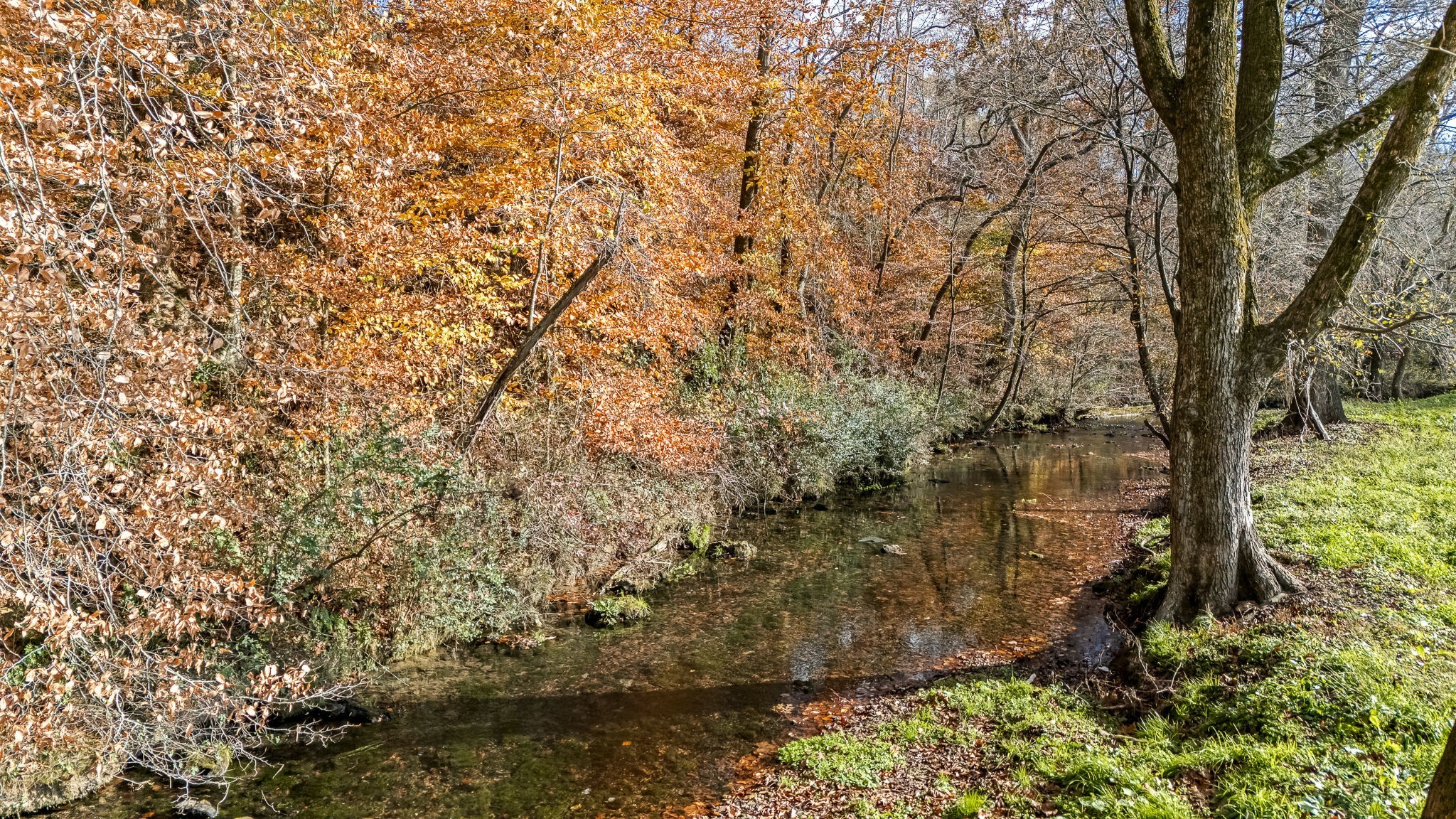 3560 Old Mcminnville Hwy Property Photo 26