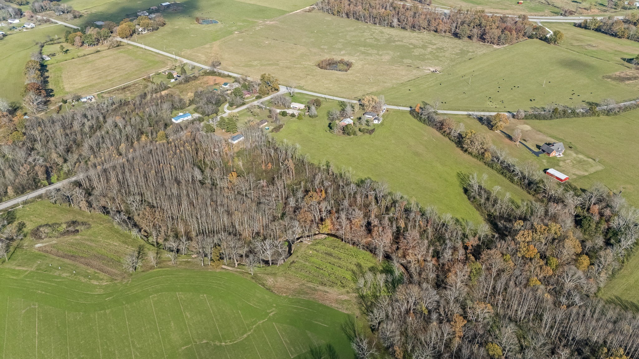 3560 Old Mcminnville Hwy Property Photo 11