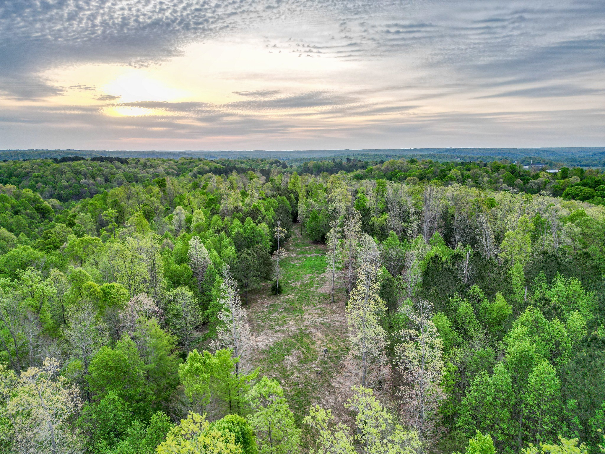 920 Mason Bates Bend Rd Property Photo 3