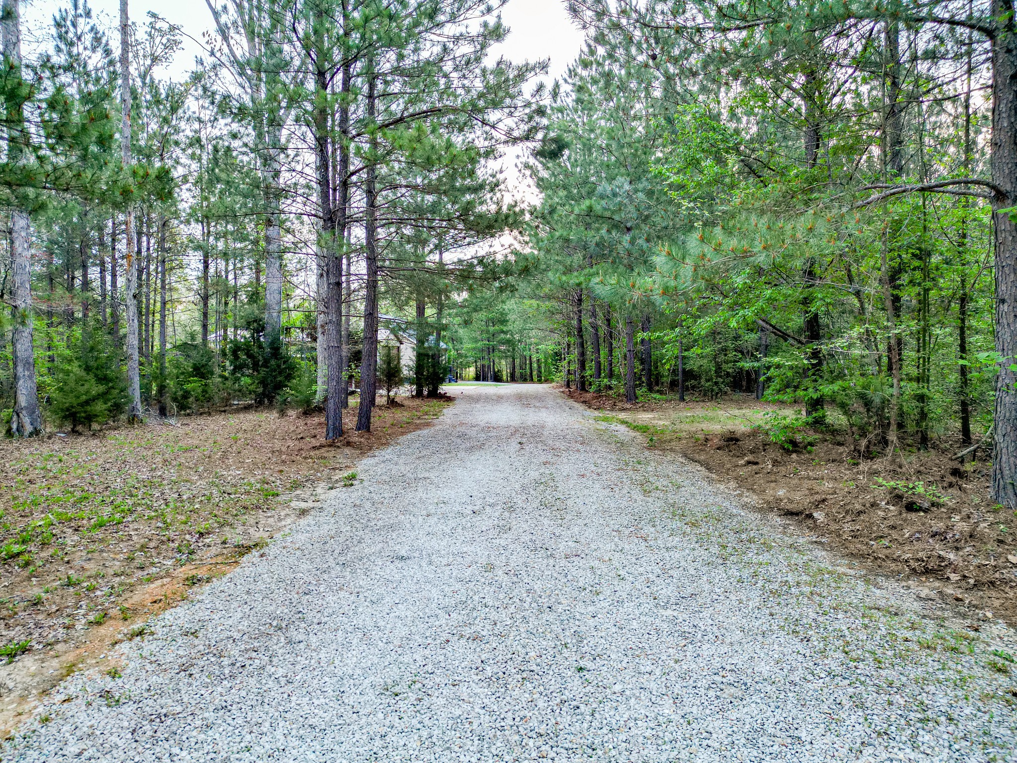 920 Mason Bates Bend Rd Property Photo 6