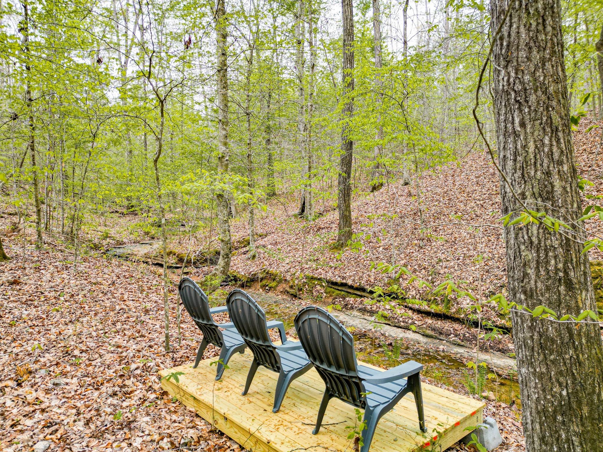 920 Mason Bates Bend Rd Property Photo 32