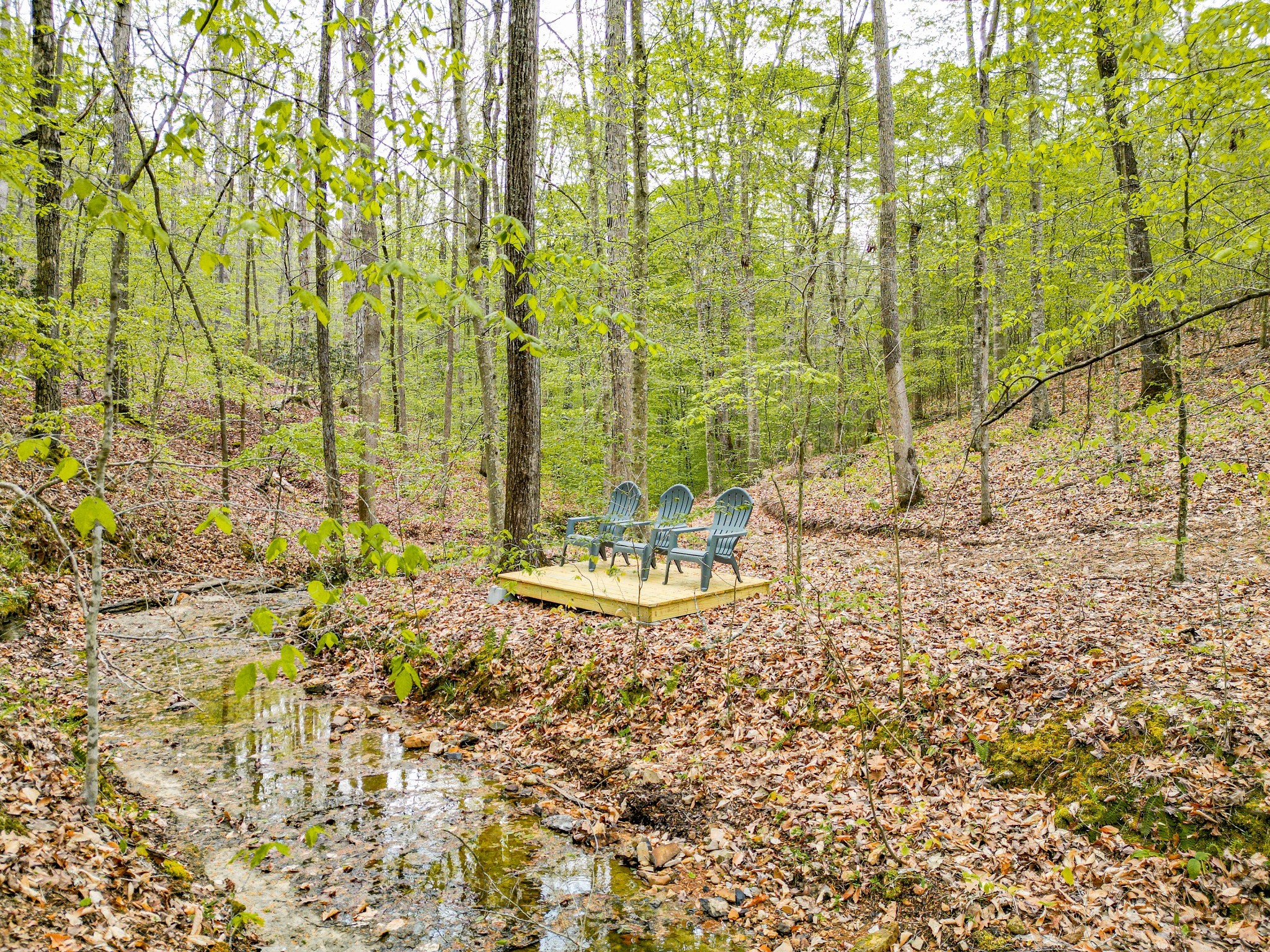 920 Mason Bates Bend Rd Property Photo 33