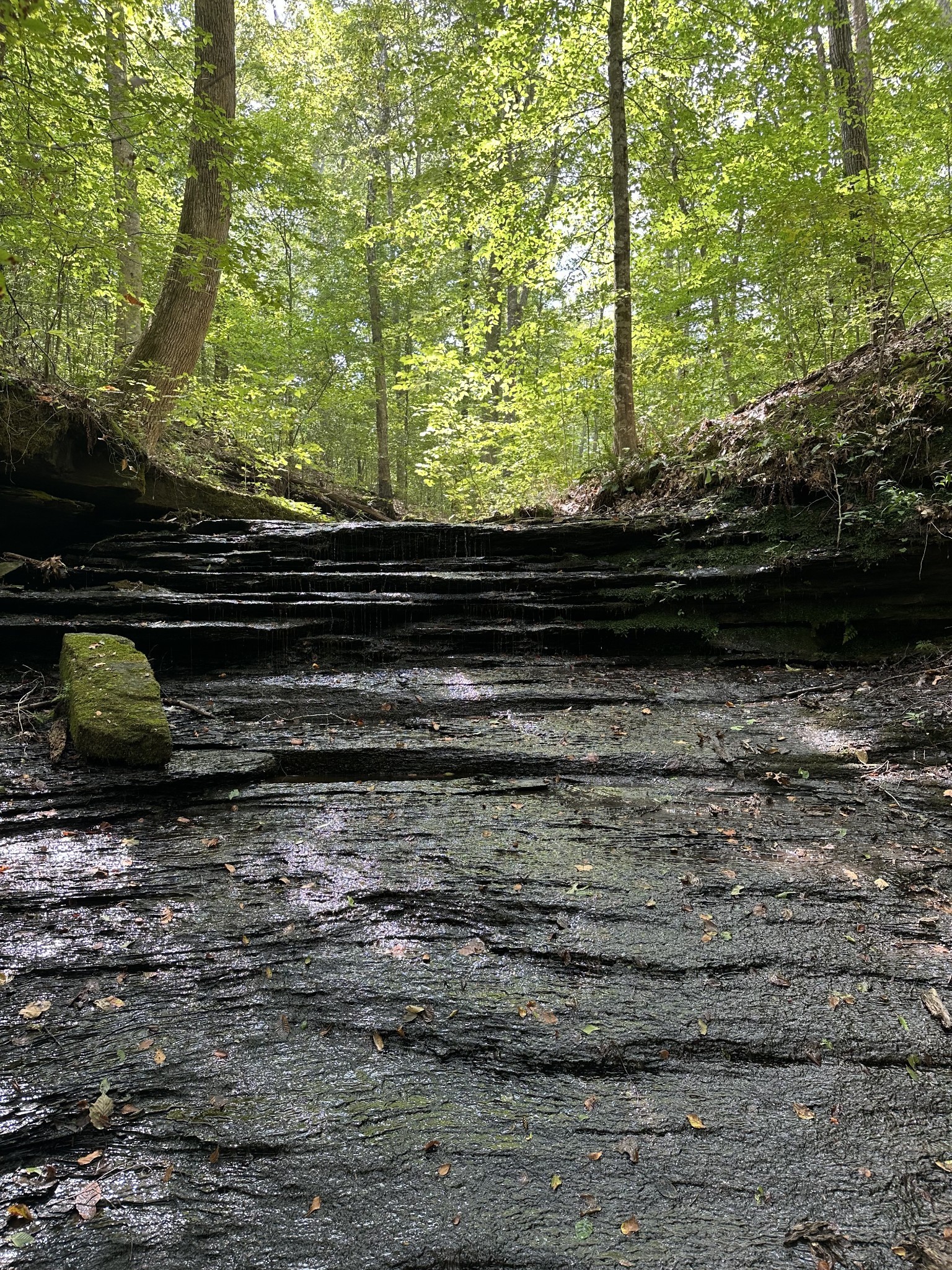 920 Mason Bates Bend Rd Property Photo 34