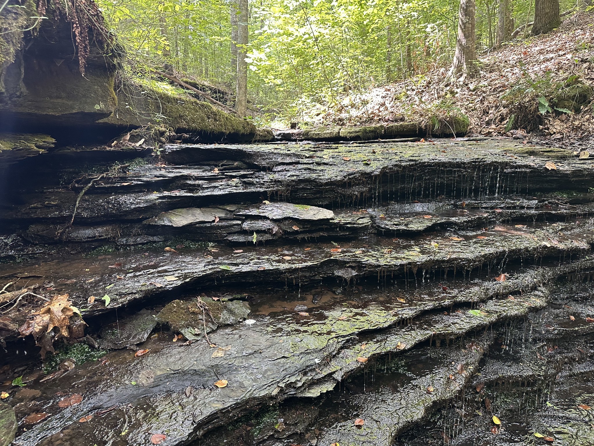 920 Mason Bates Bend Rd Property Photo 35