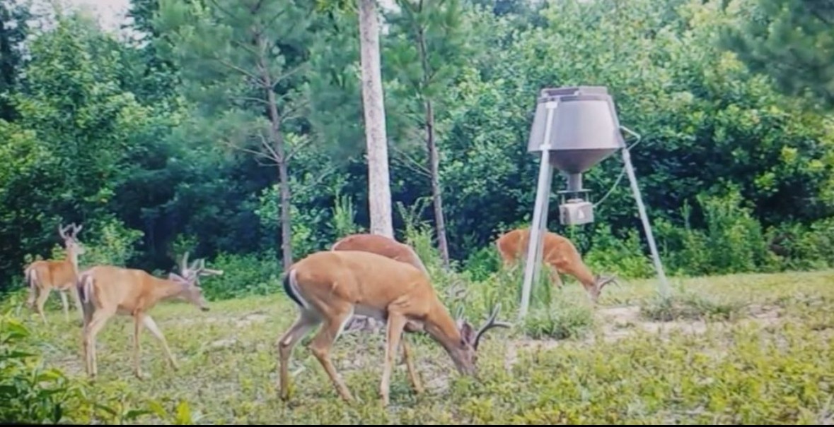 920 Mason Bates Bend Rd Property Photo 36