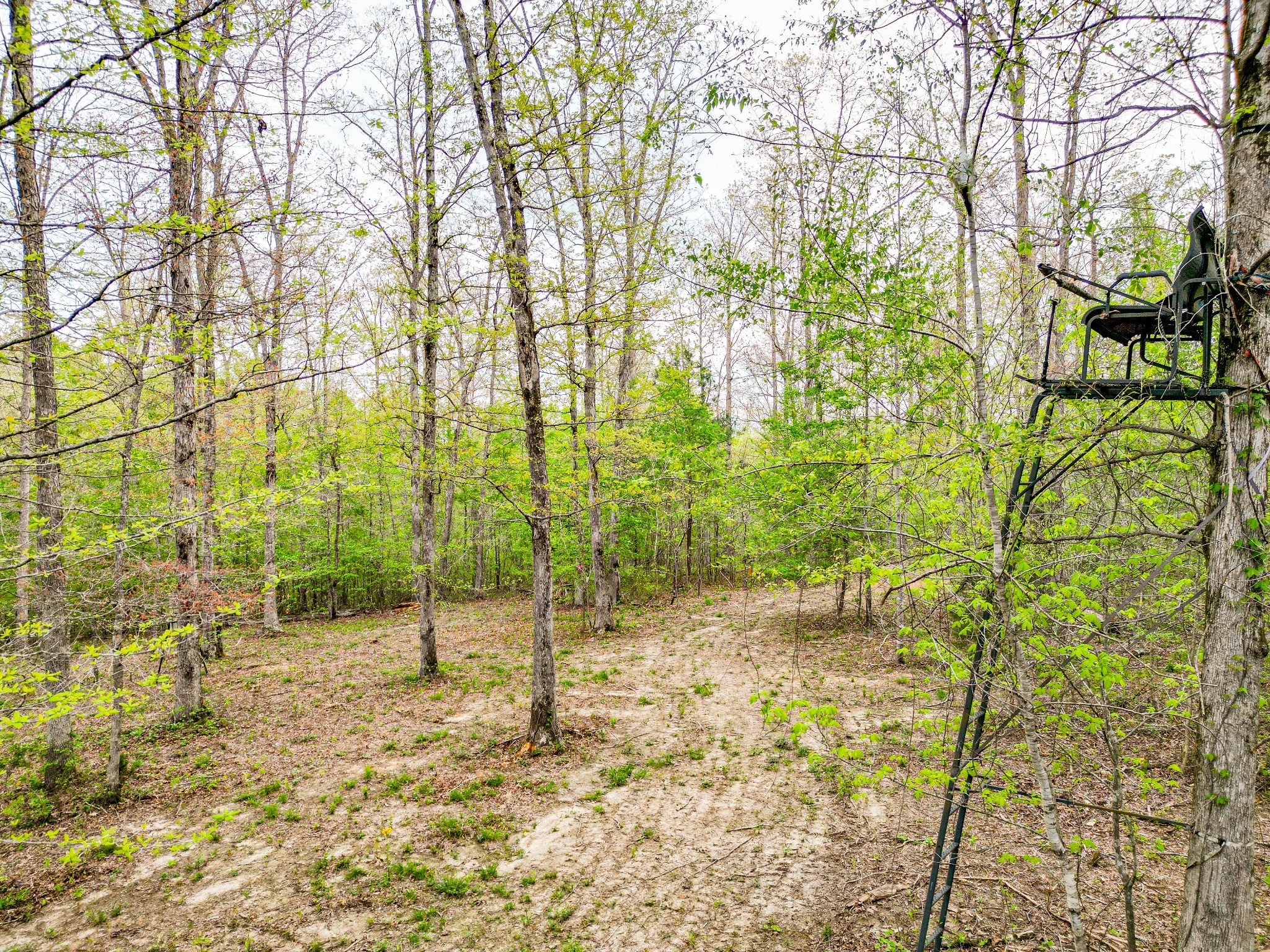 920 Mason Bates Bend Rd Property Photo 37