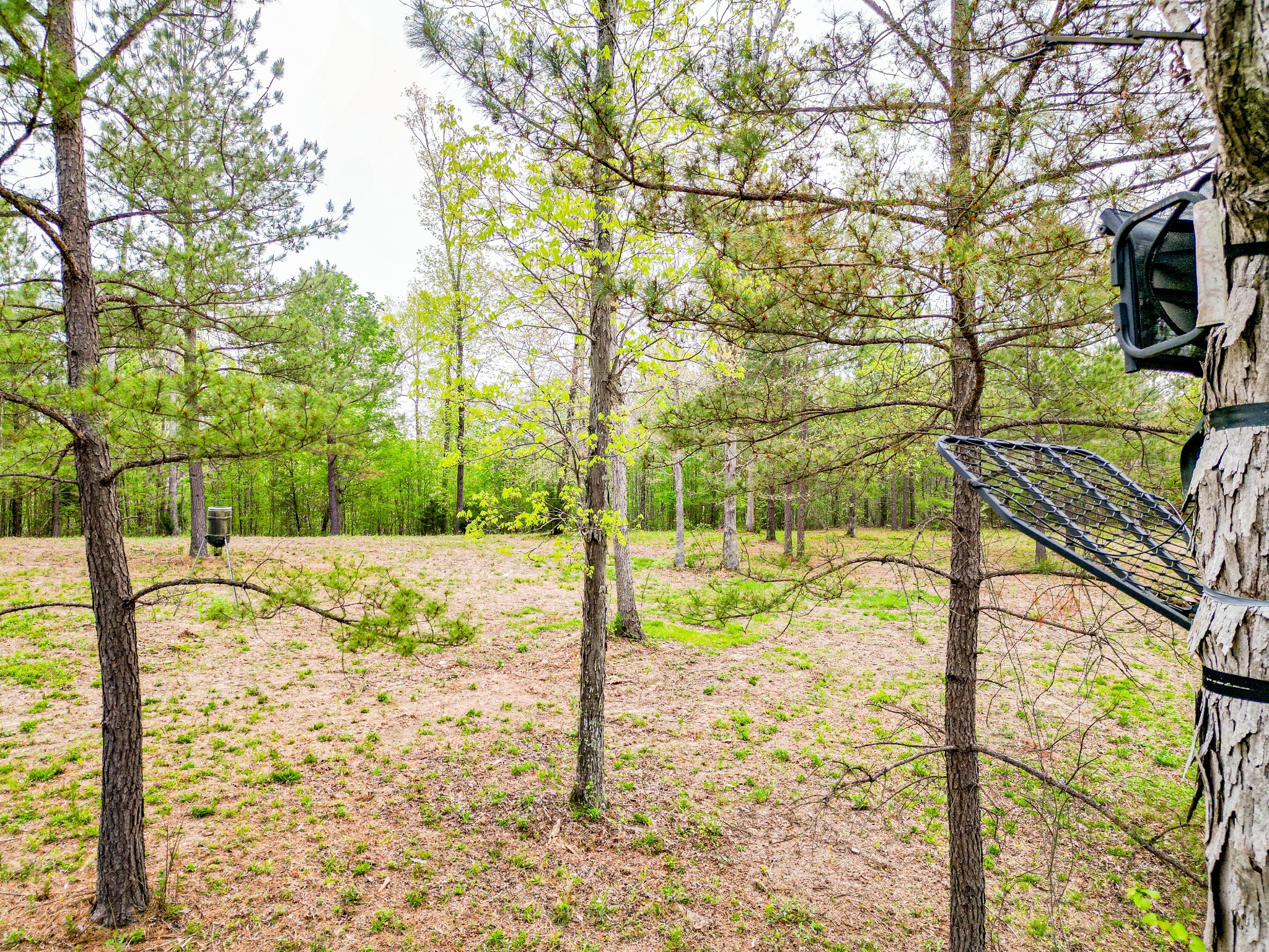 920 Mason Bates Bend Rd Property Photo 38