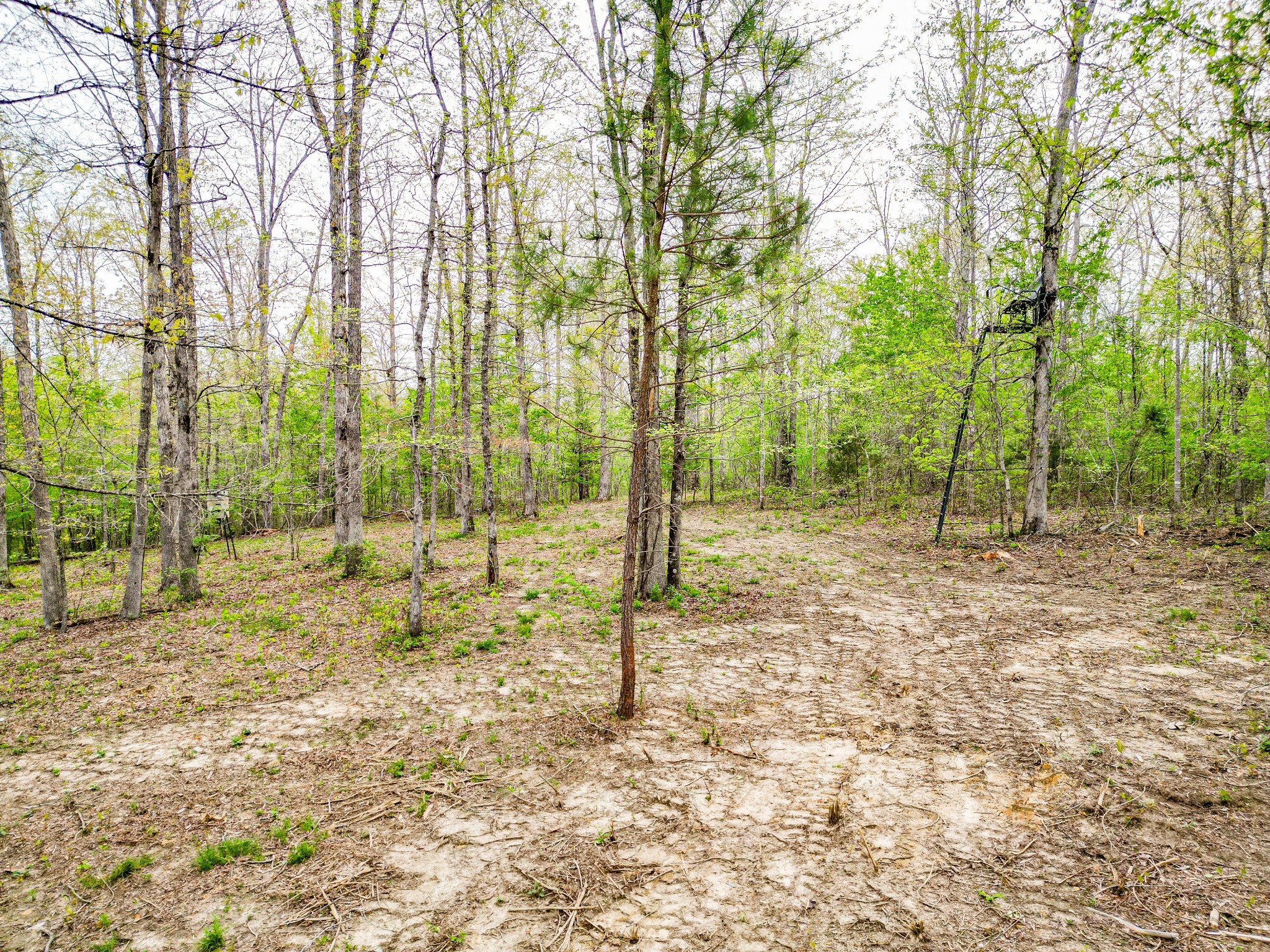 920 Mason Bates Bend Rd Property Photo 41