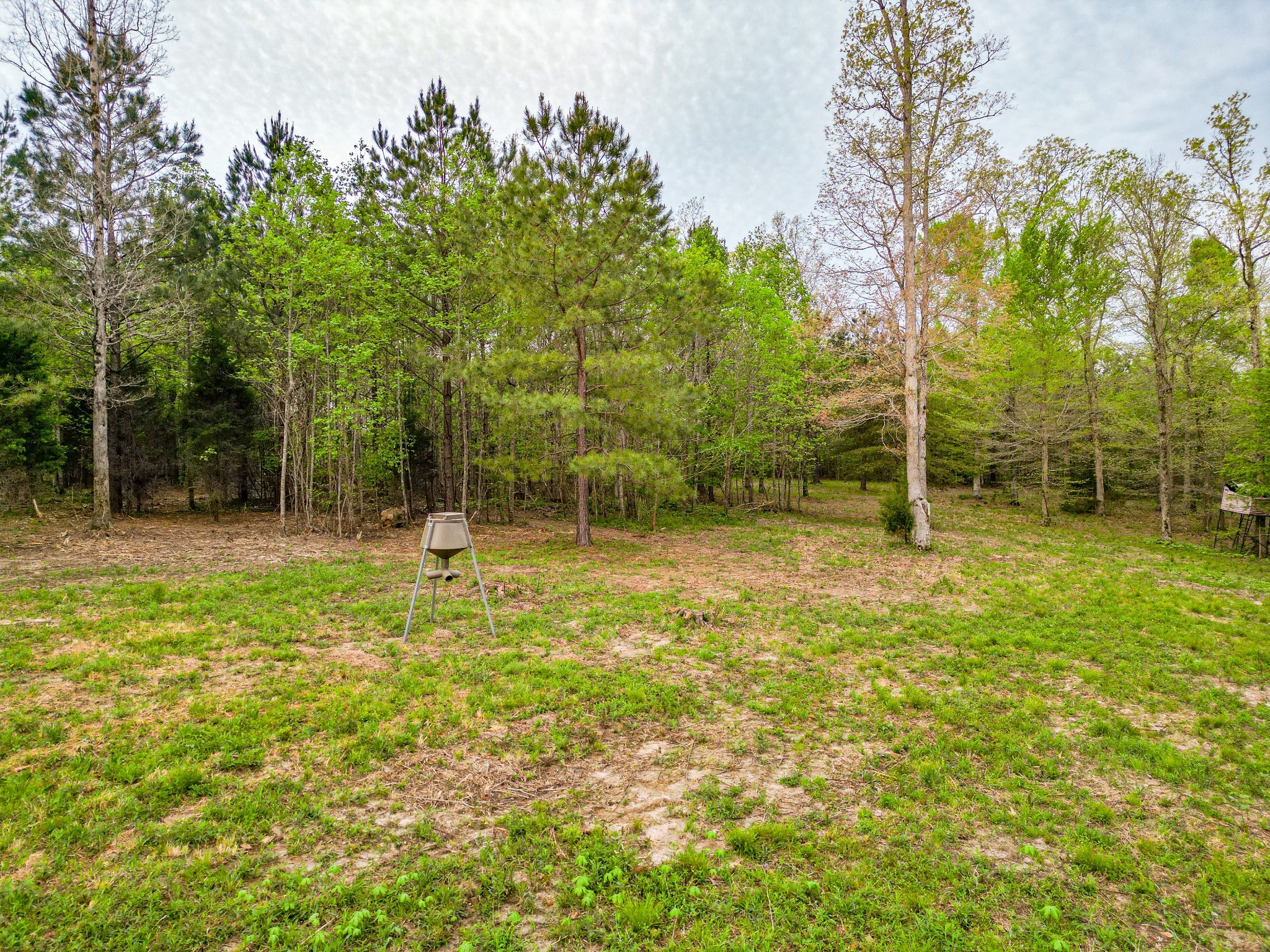 920 Mason Bates Bend Rd Property Photo 42