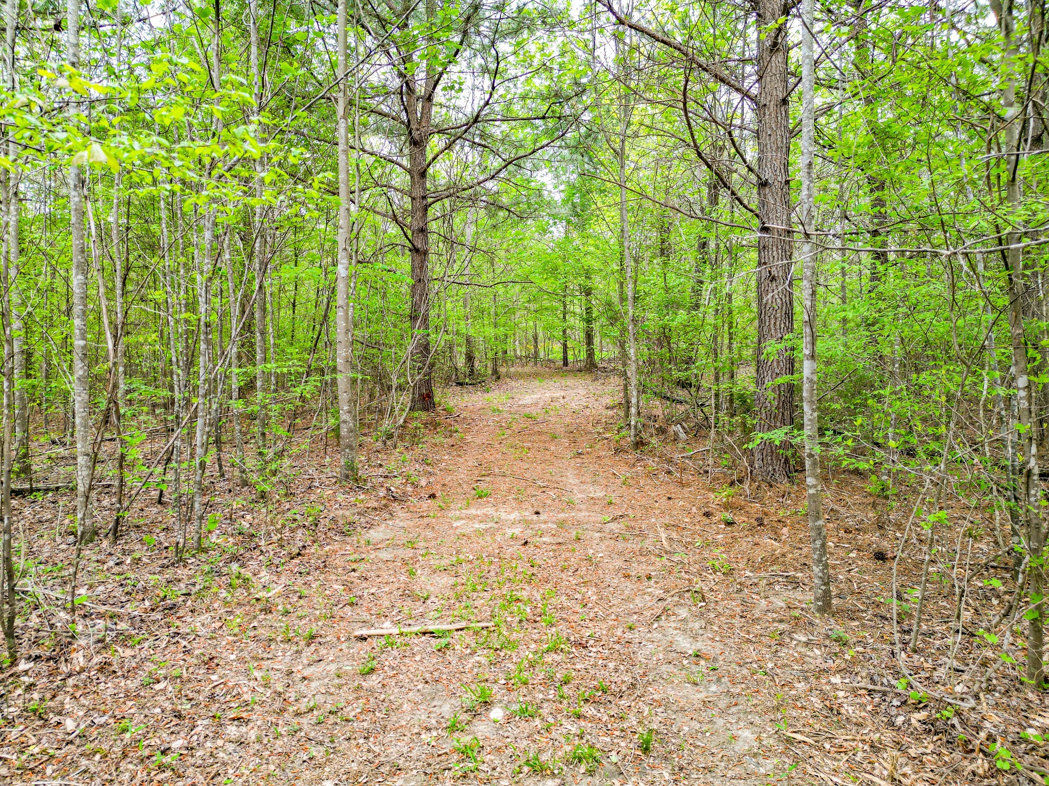 920 Mason Bates Bend Rd Property Photo 43