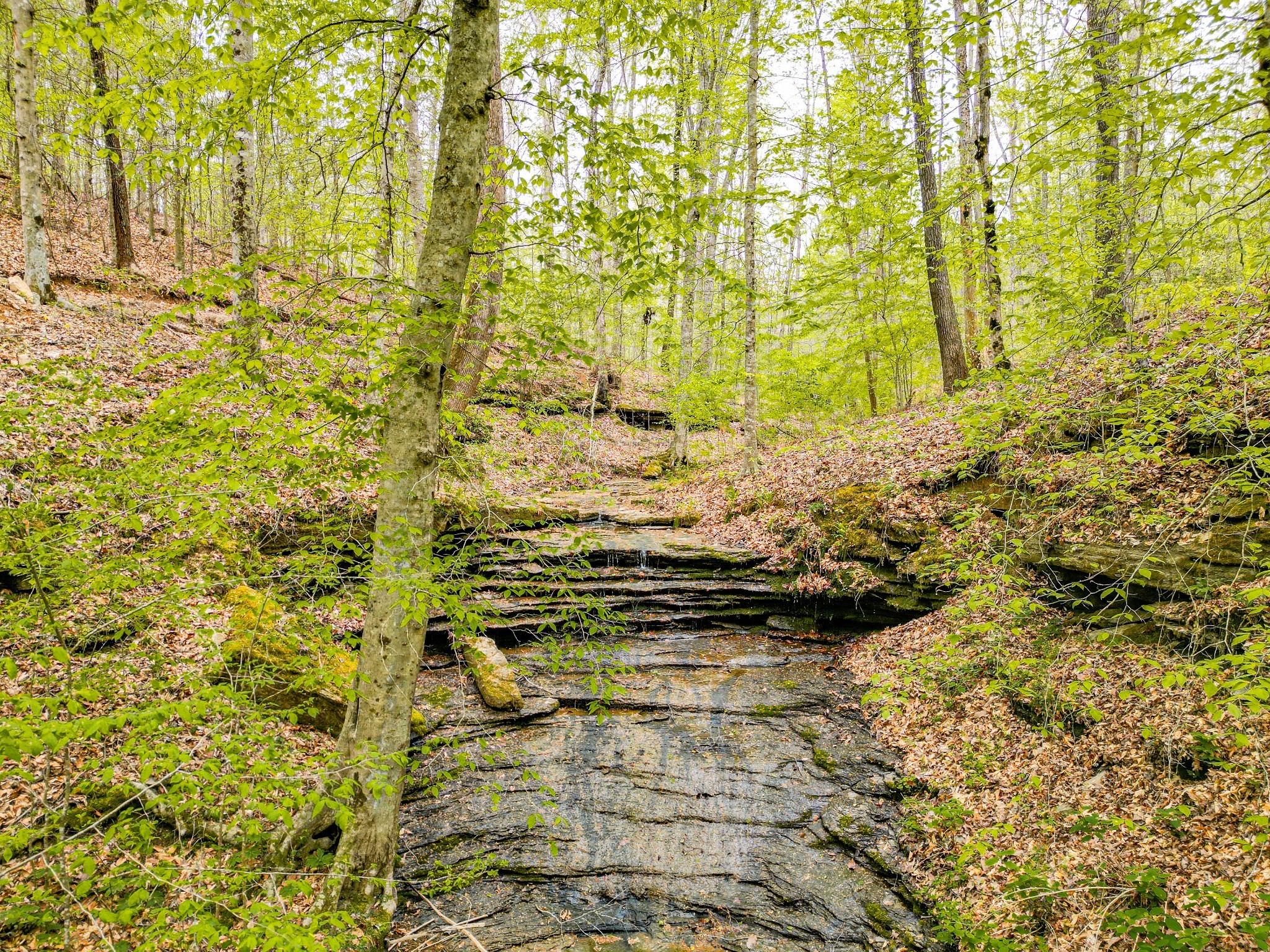 920 Mason Bates Bend Rd Property Photo 44