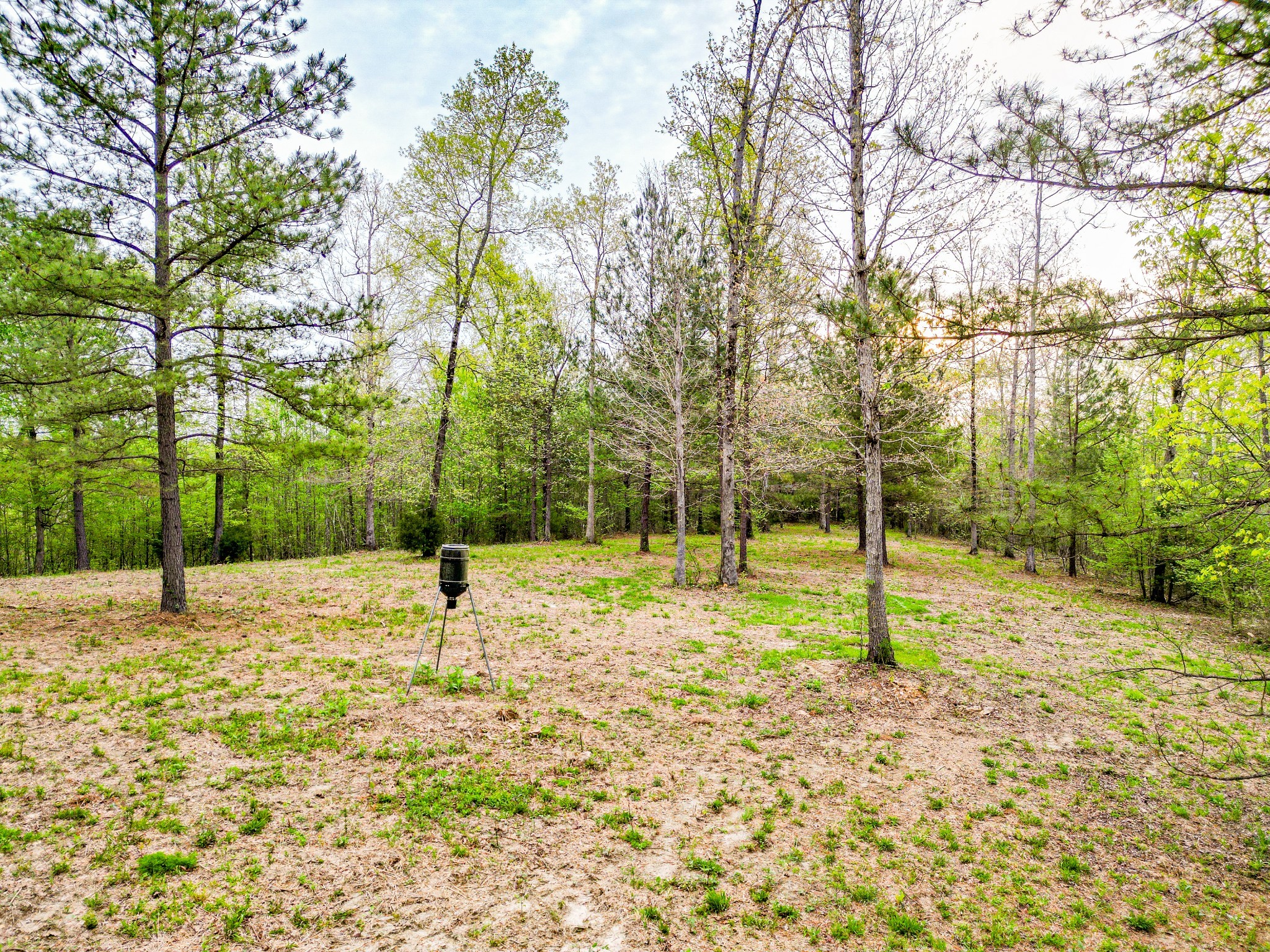 920 Mason Bates Bend Rd Property Photo 45