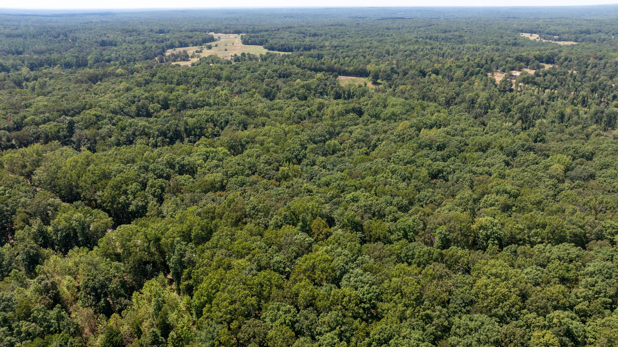 0 Rehoboth Road Property Photo 5