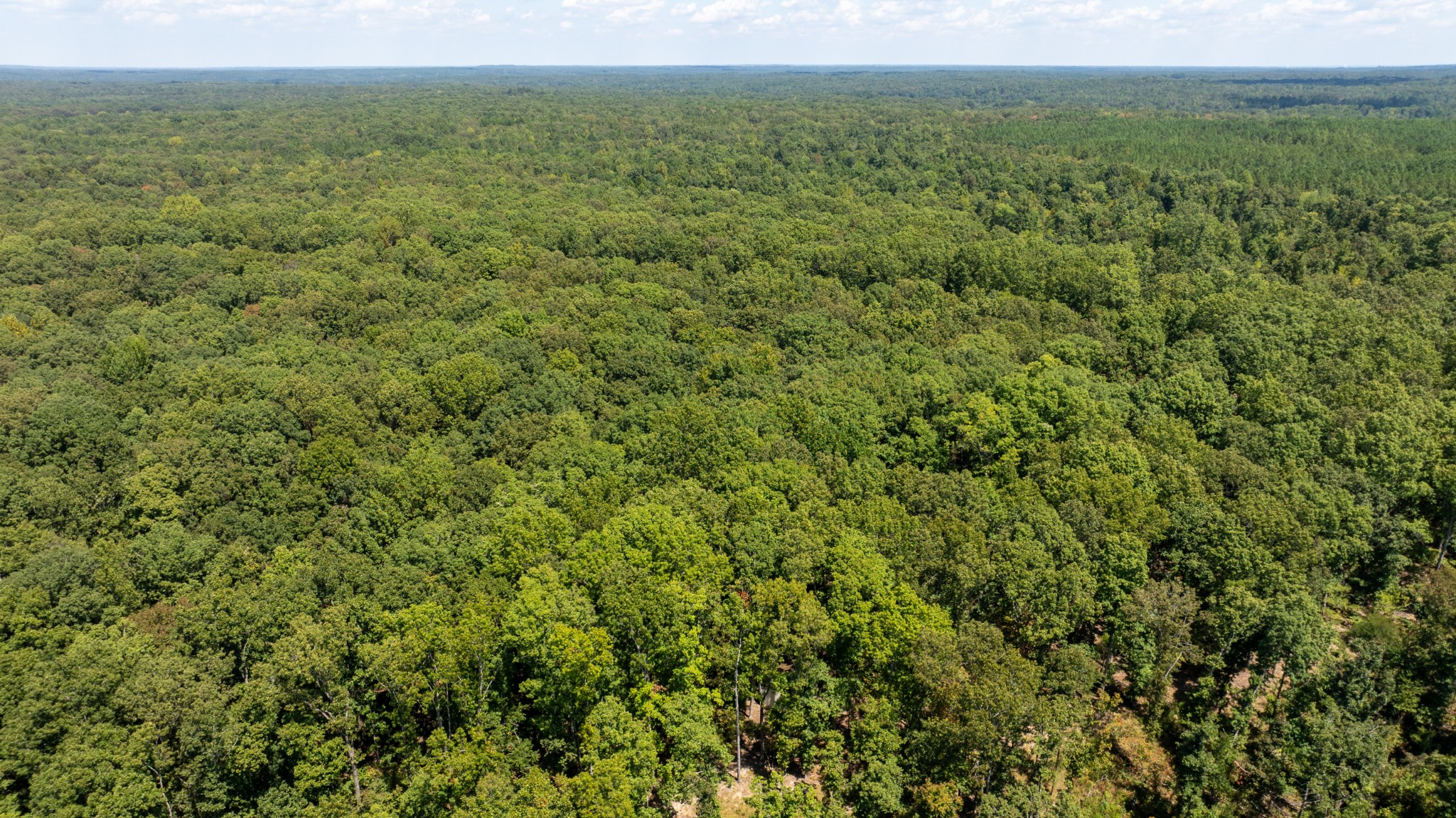 0 Rehoboth Road Property Photo 8