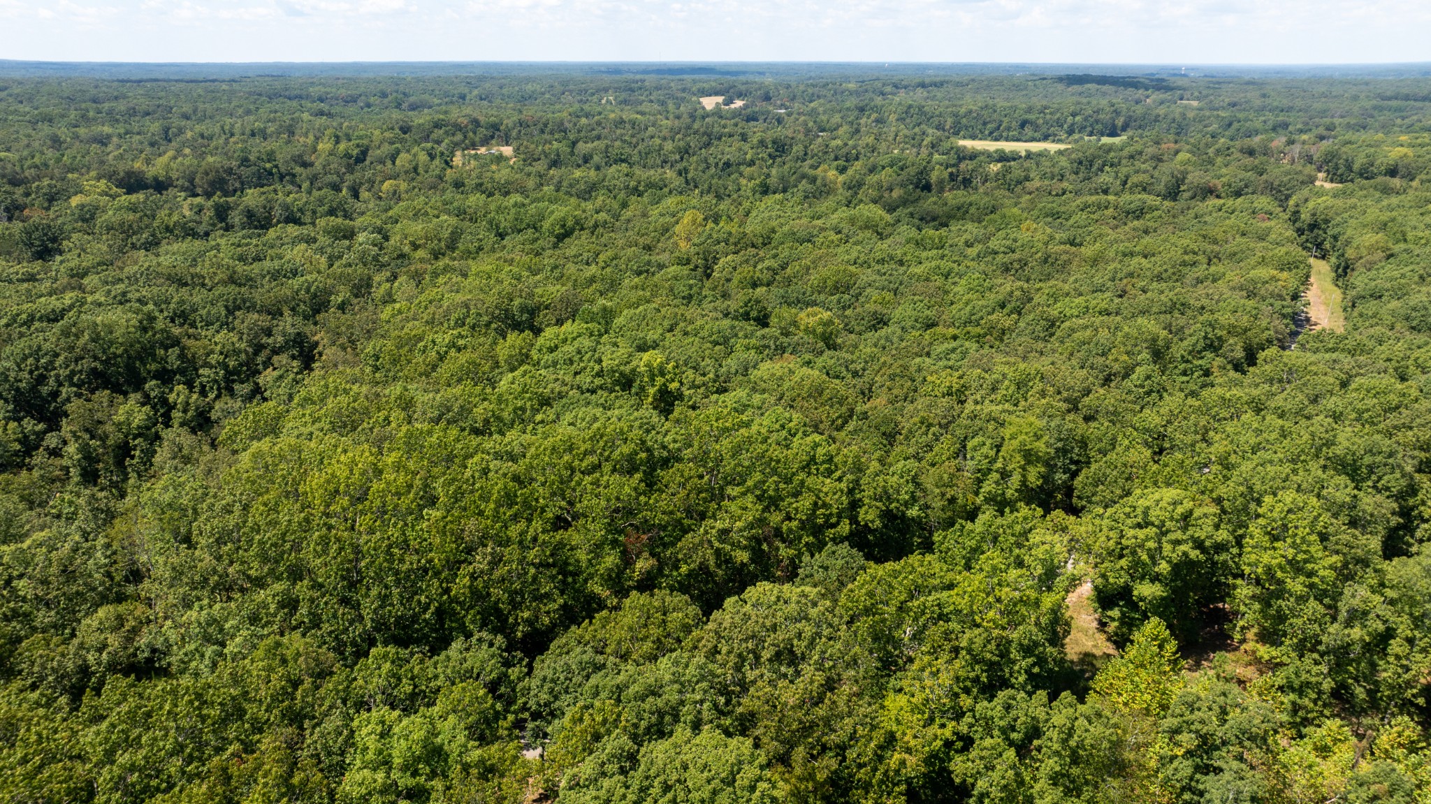 0 Rehoboth Road Property Photo 9