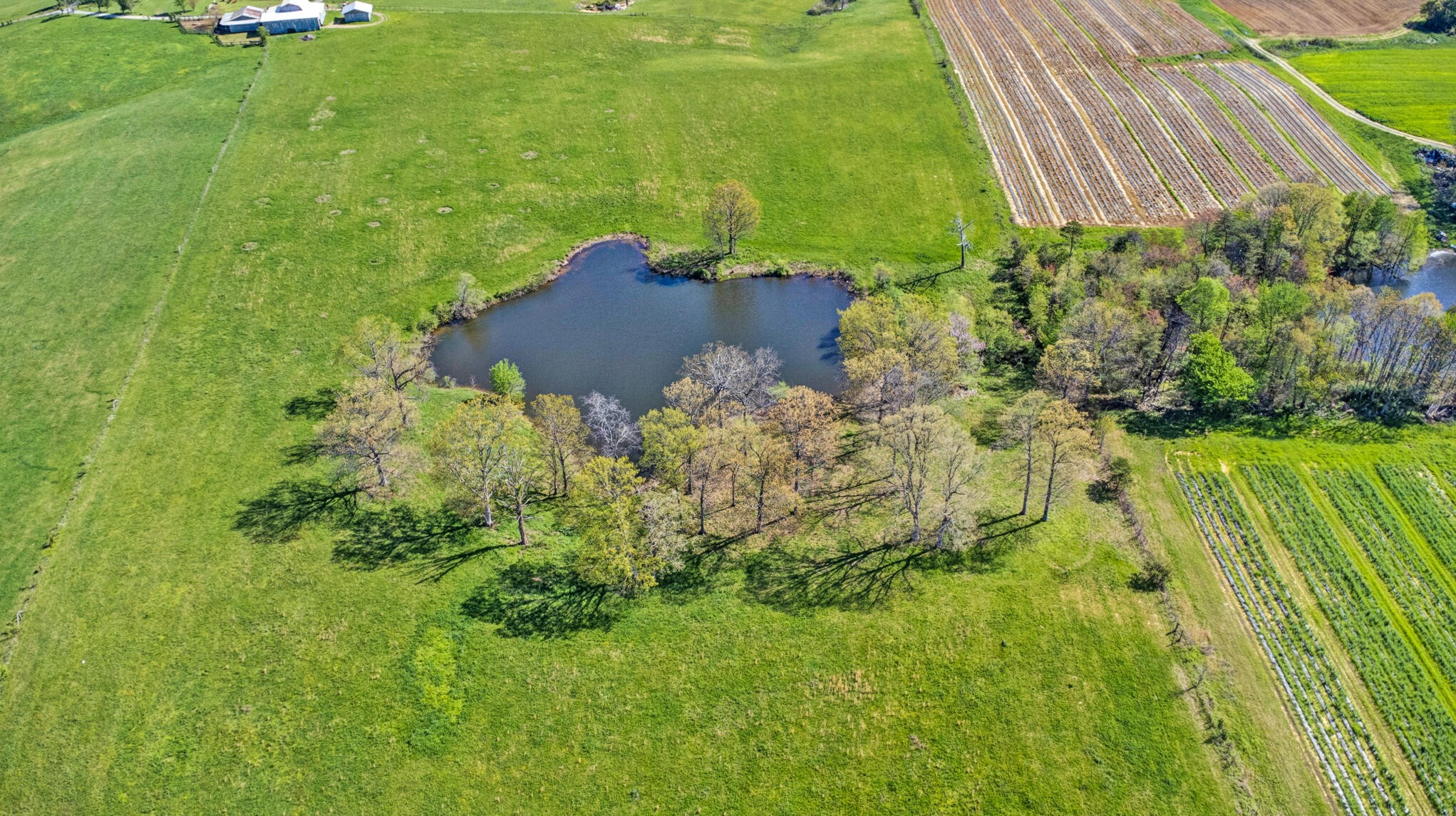 455 Muddy Branch Road Property Photo 23