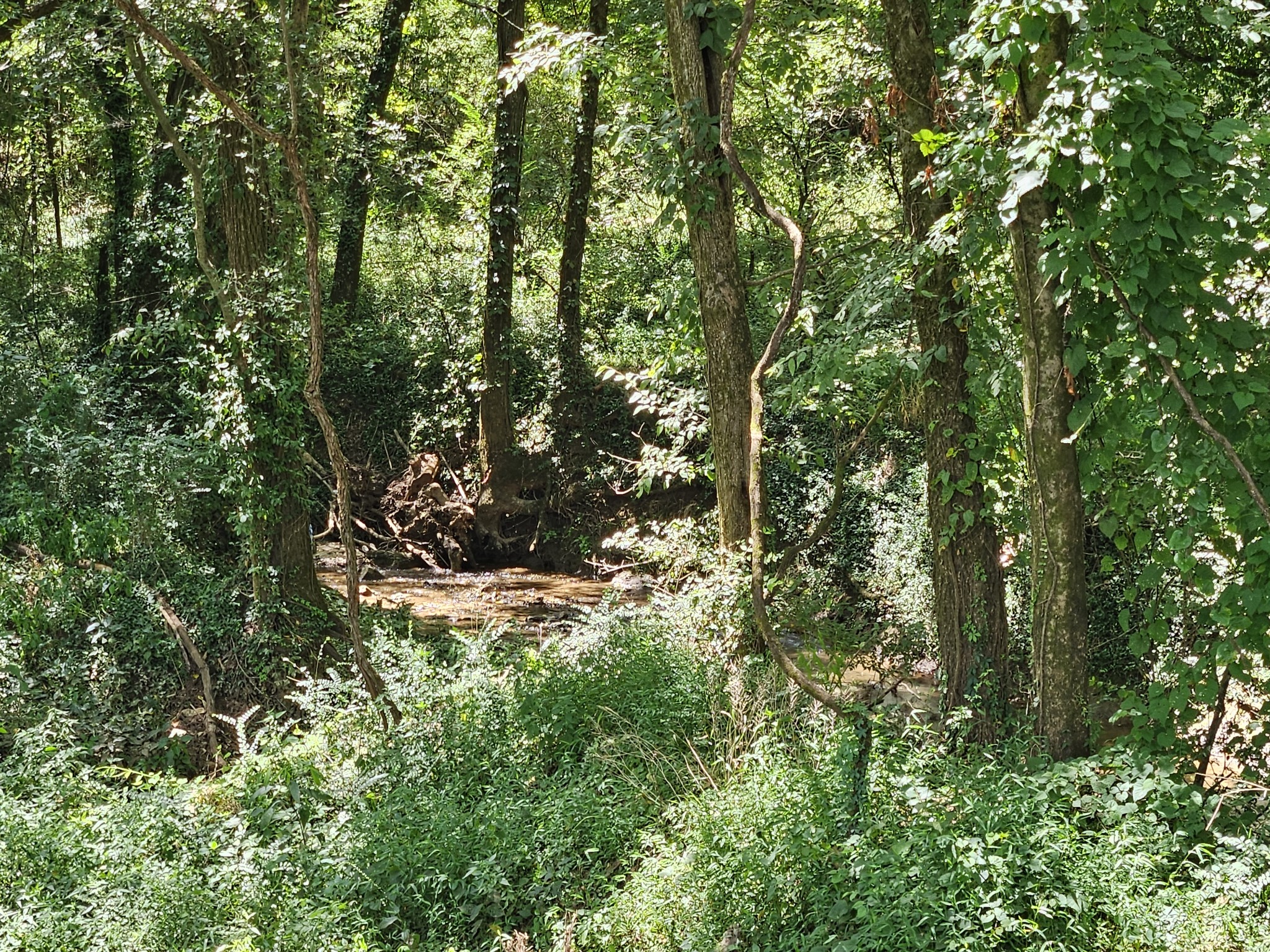 0 Sulpher Springs Rd Property Photo 4