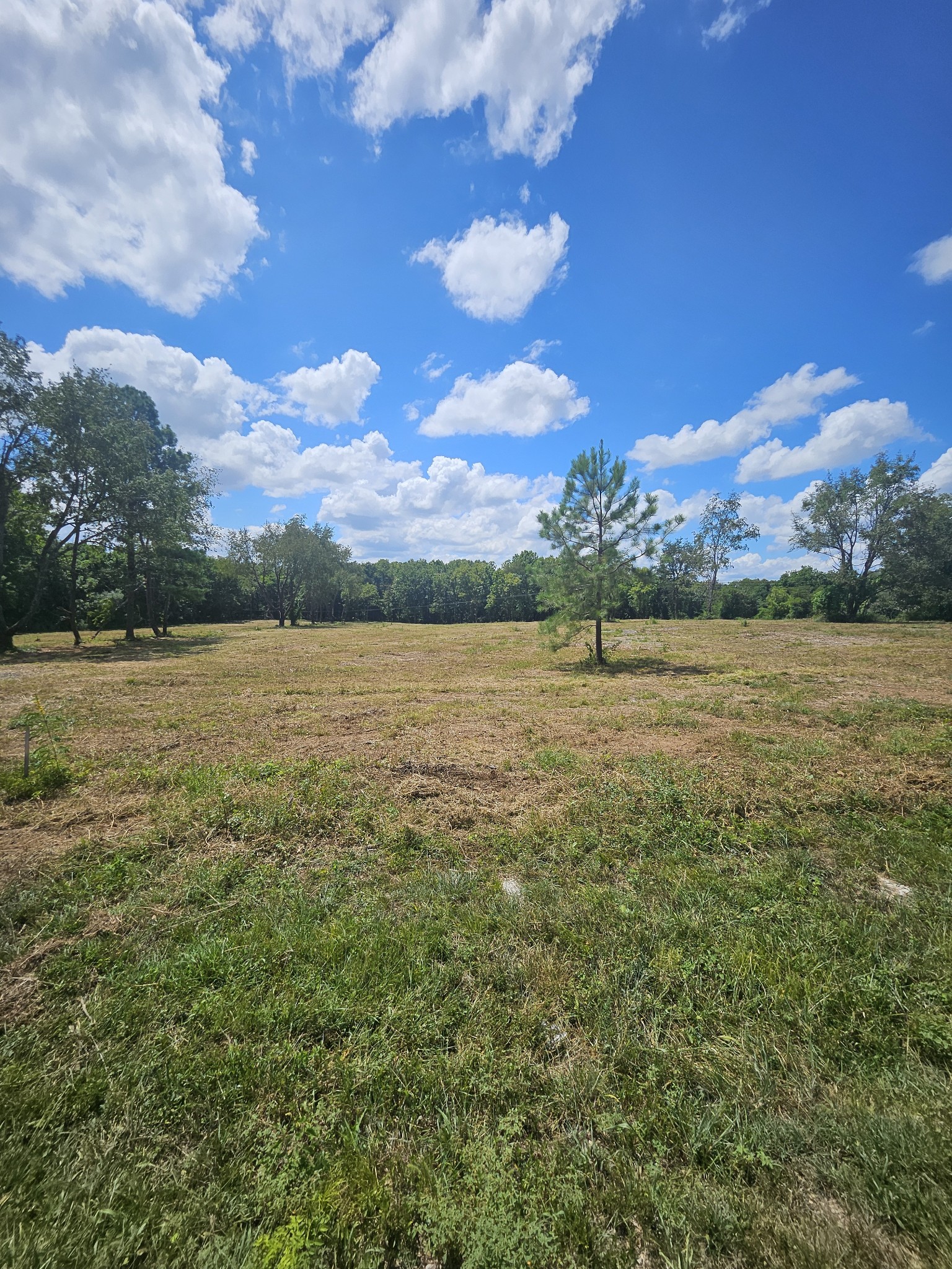 0 Sulpher Springs Rd Property Photo 2