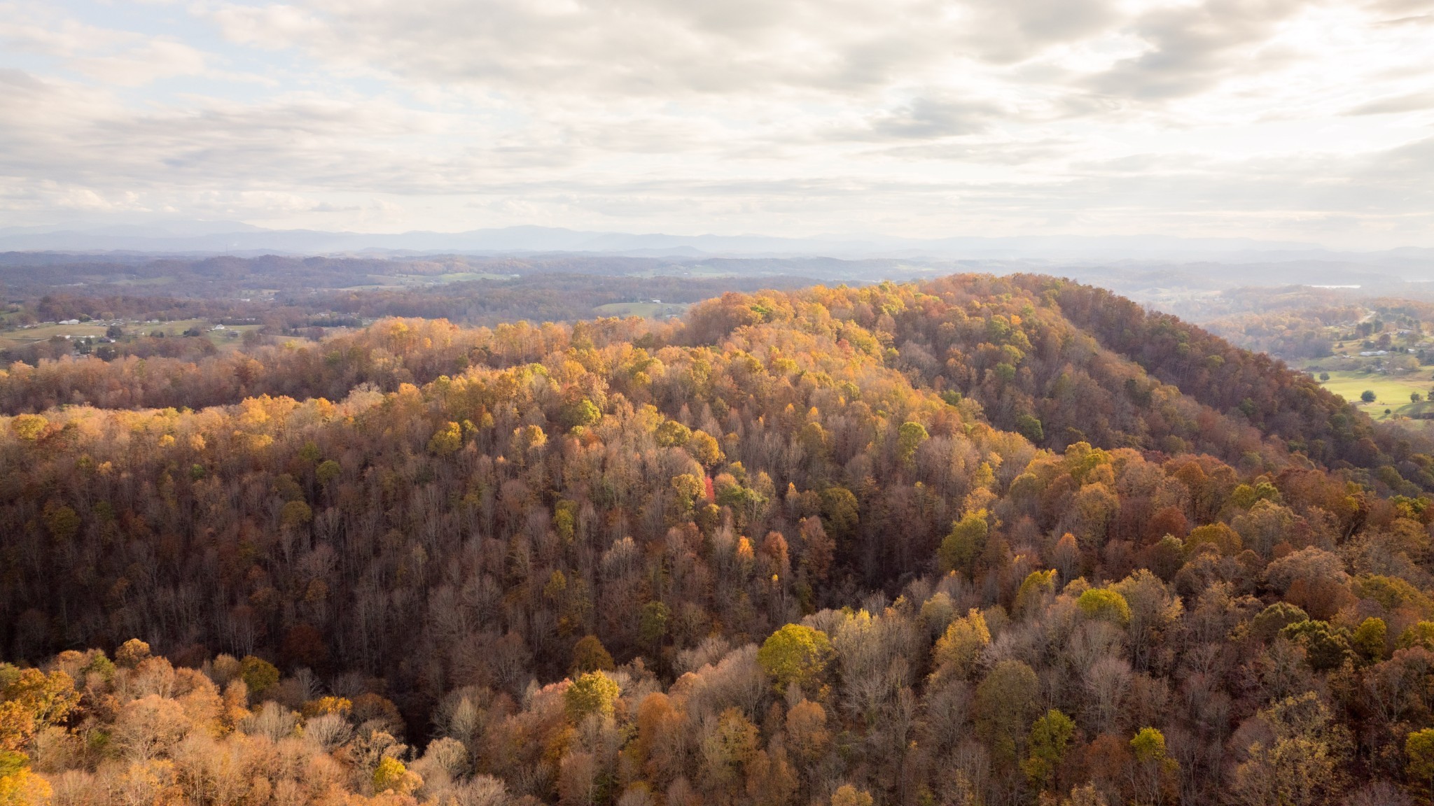 544 Ethel Beard Rd Property Photo 3