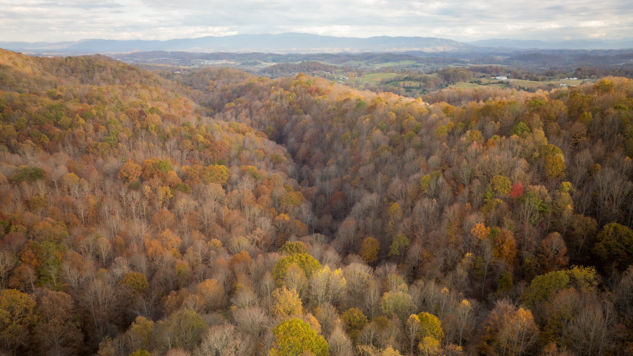 544 Ethel Beard Rd Property Photo 4