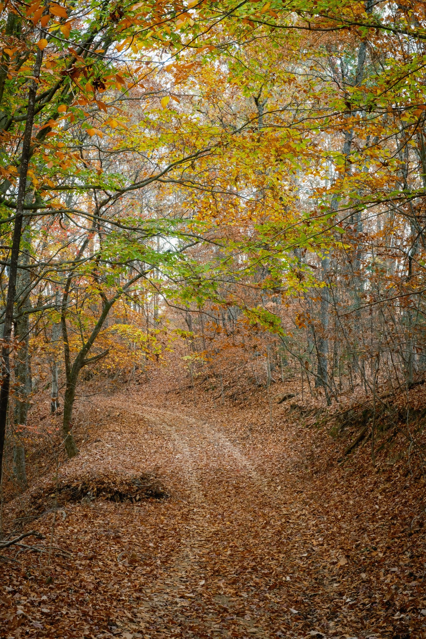 544 Ethel Beard Rd Property Photo 7