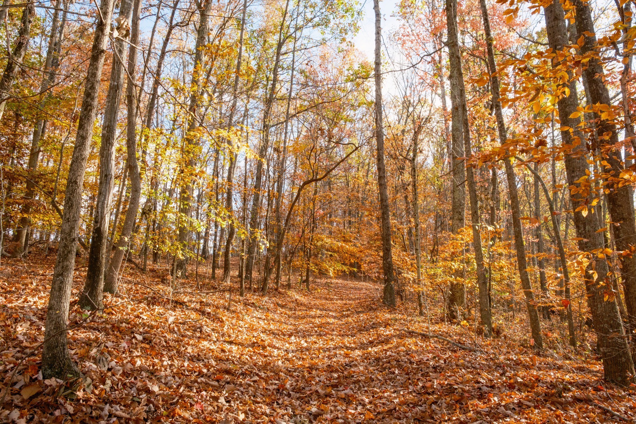 544 Ethel Beard Rd Property Photo 10