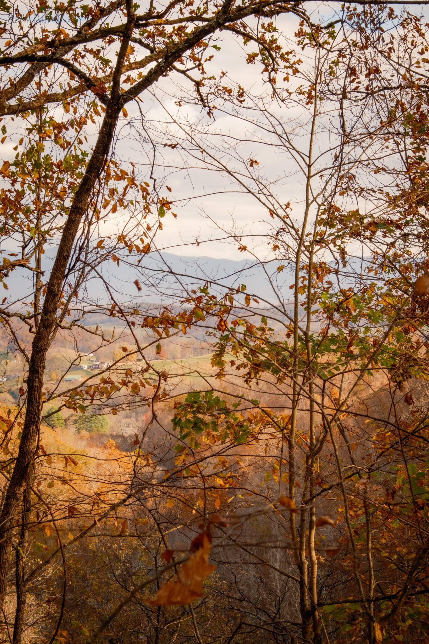 544 Ethel Beard Rd Property Photo 11