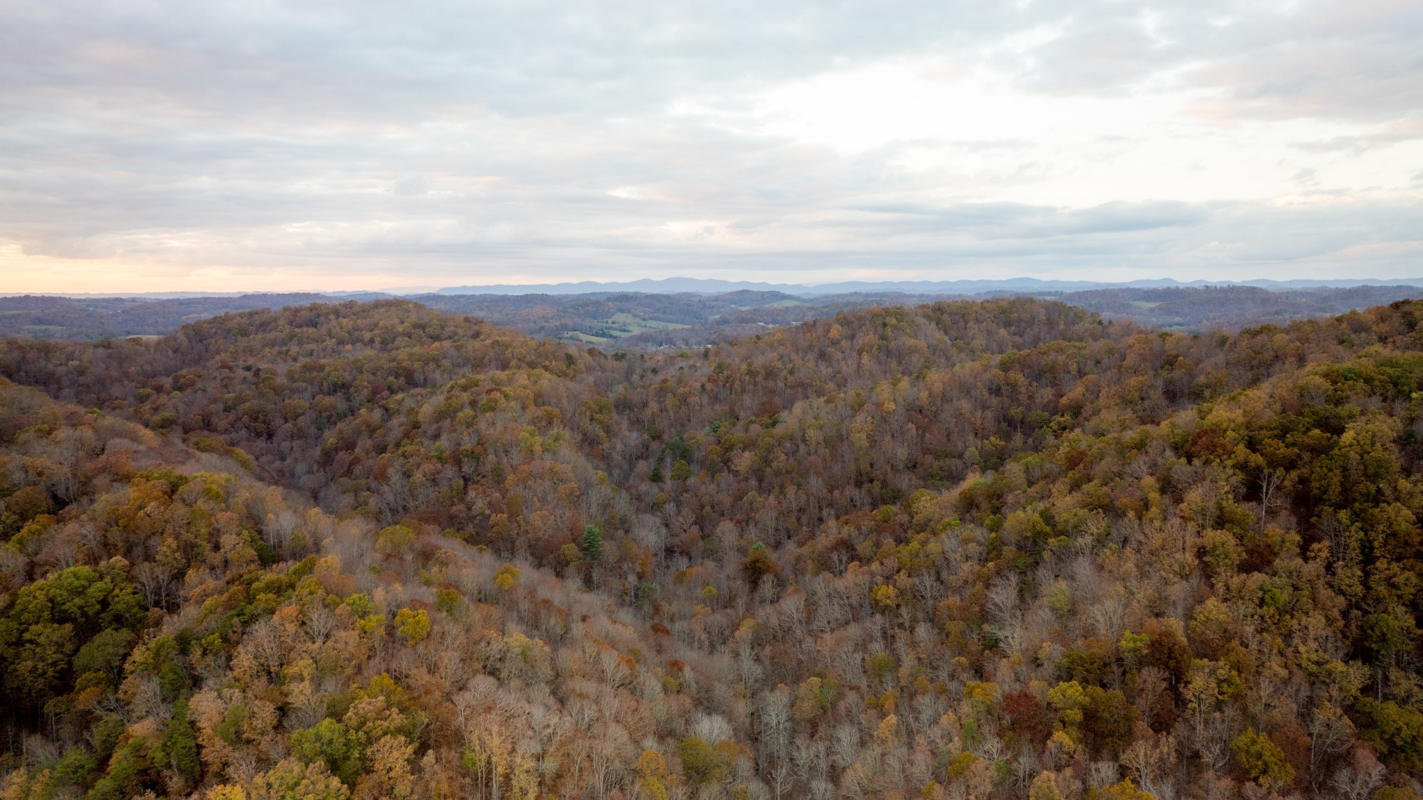 544 Ethel Beard Rd Property Photo 14