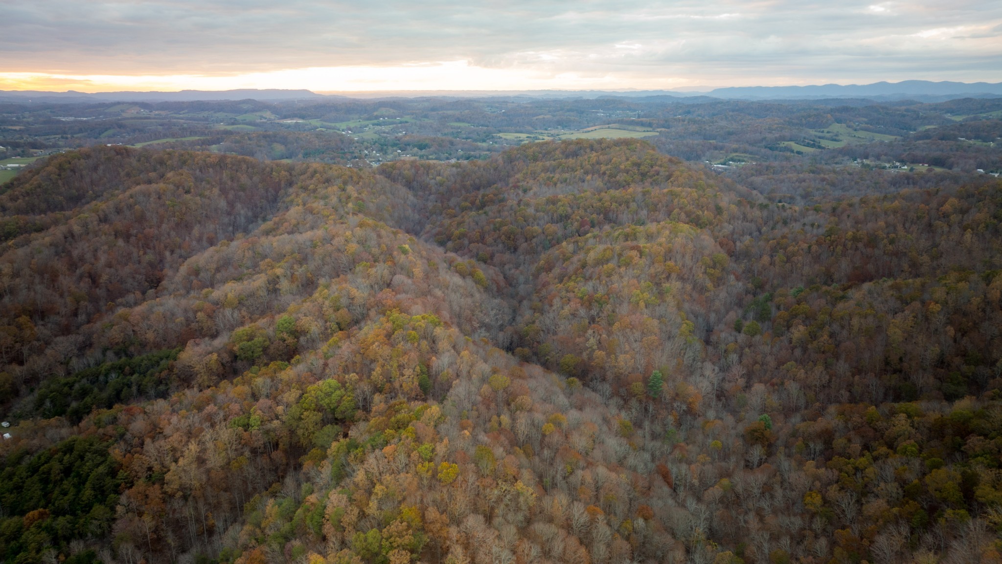 544 Ethel Beard Rd Property Photo 16