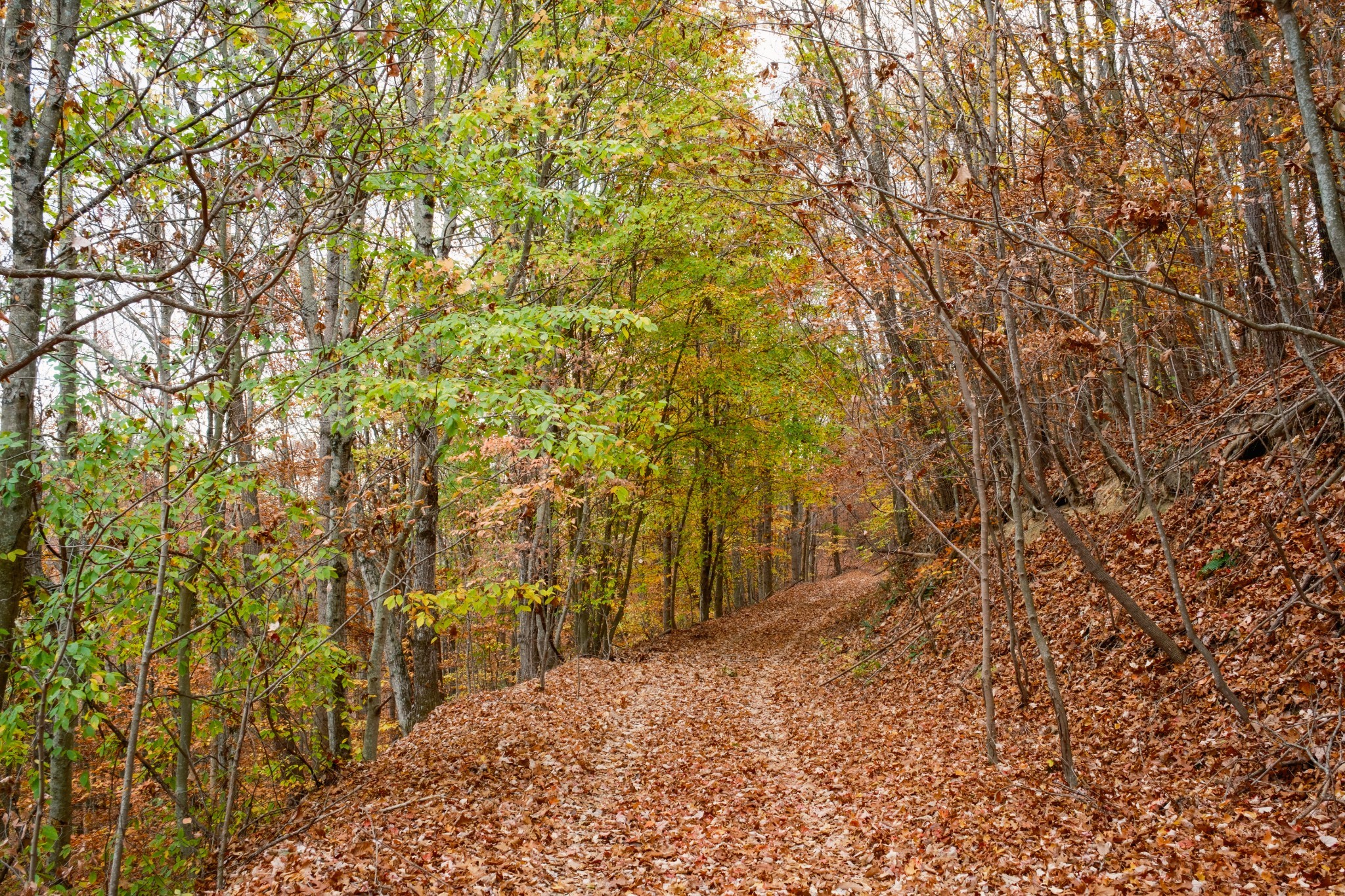 544 Ethel Beard Rd Property Photo 18