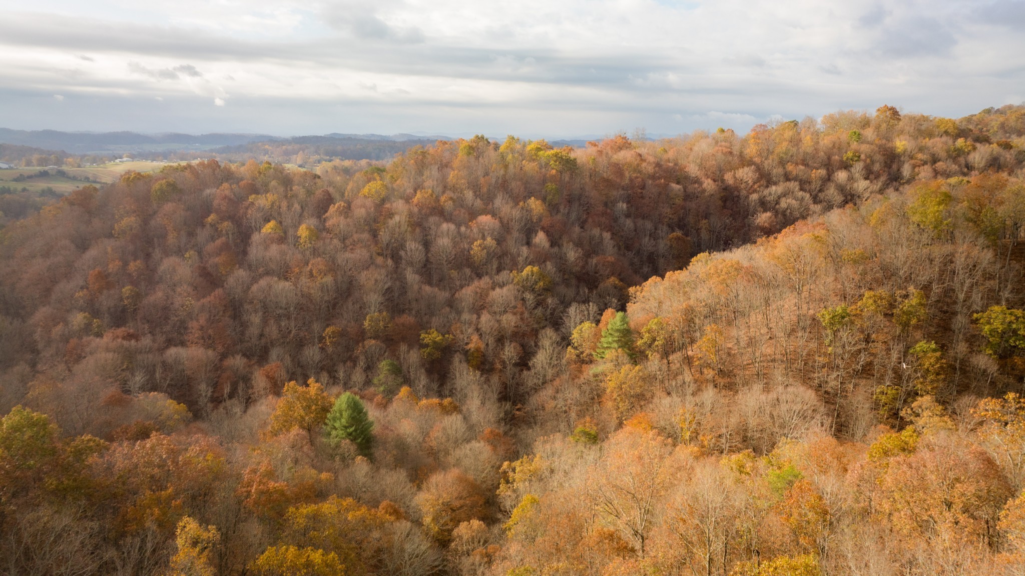 544 Ethel Beard Rd Property Photo 19