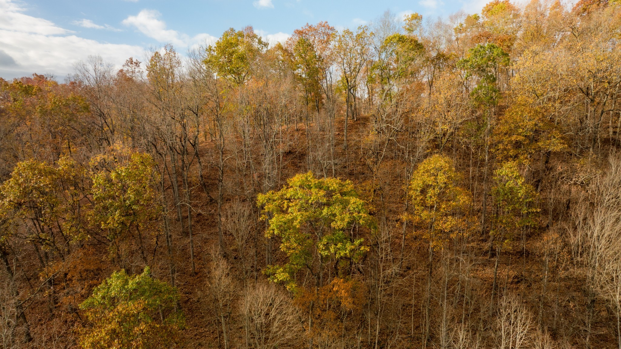 544 Ethel Beard Rd Property Photo 20