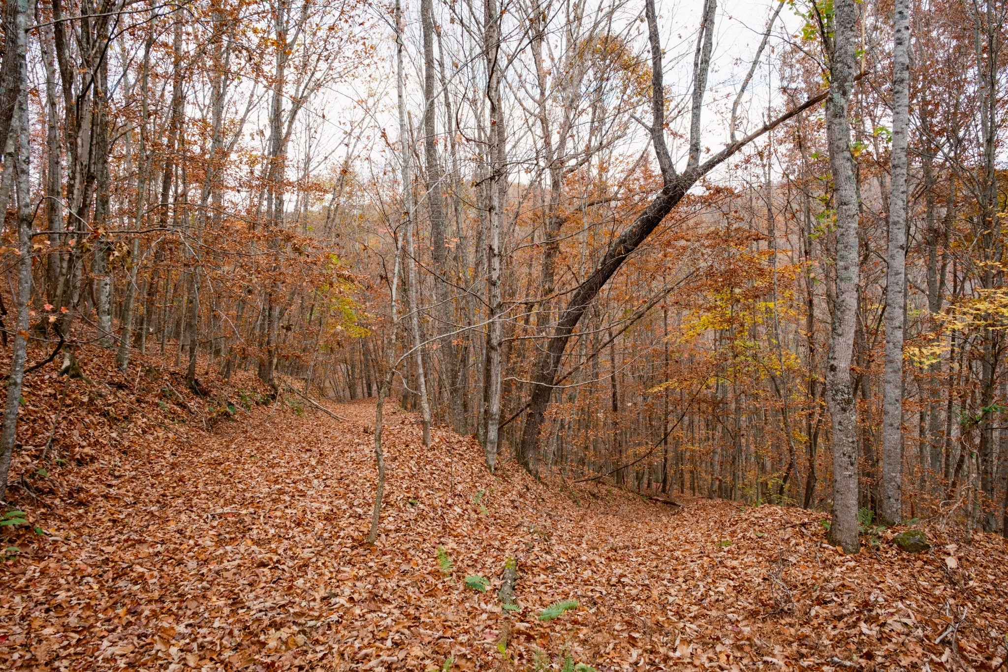 544 Ethel Beard Rd Property Photo 22