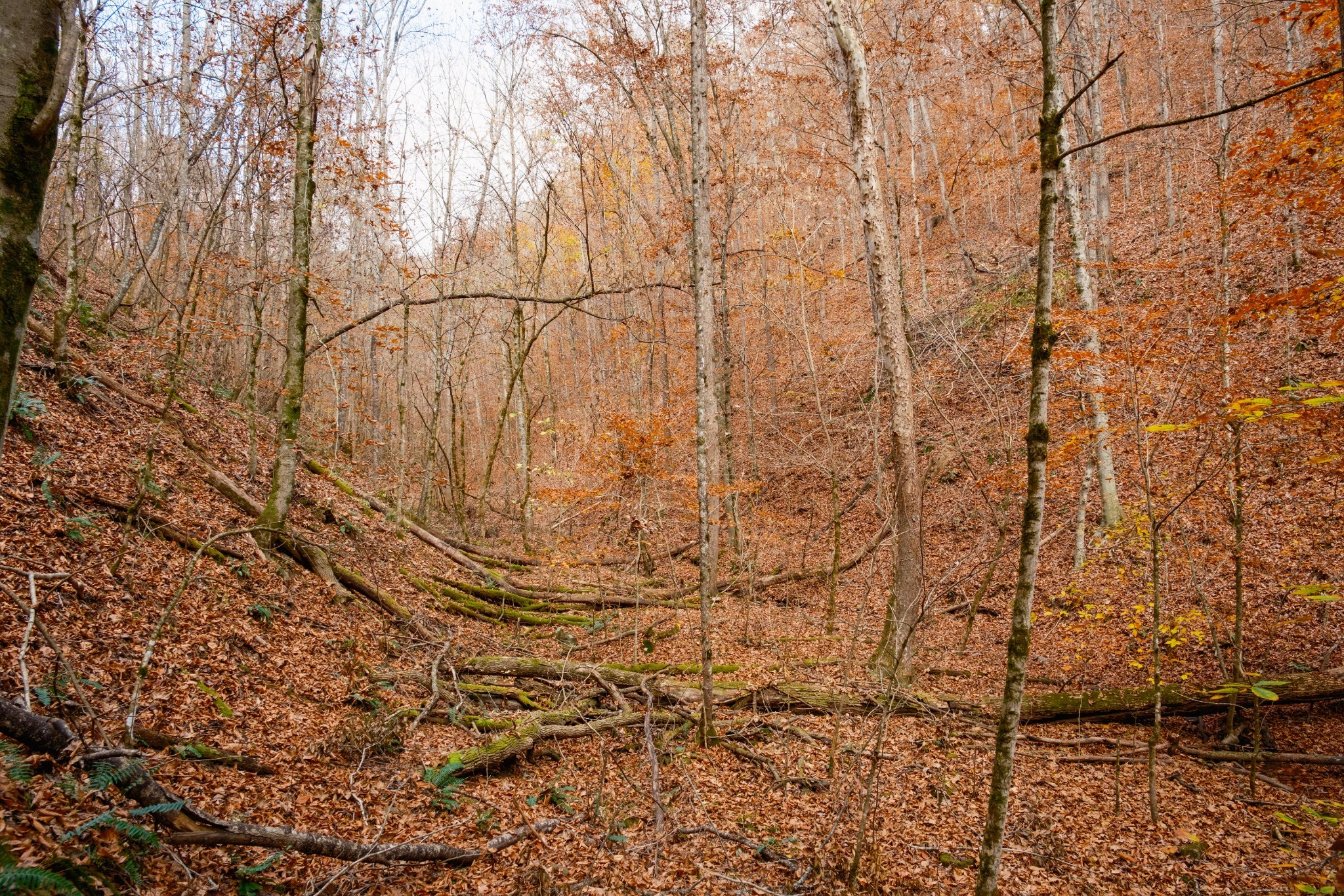 544 Ethel Beard Rd Property Photo 26