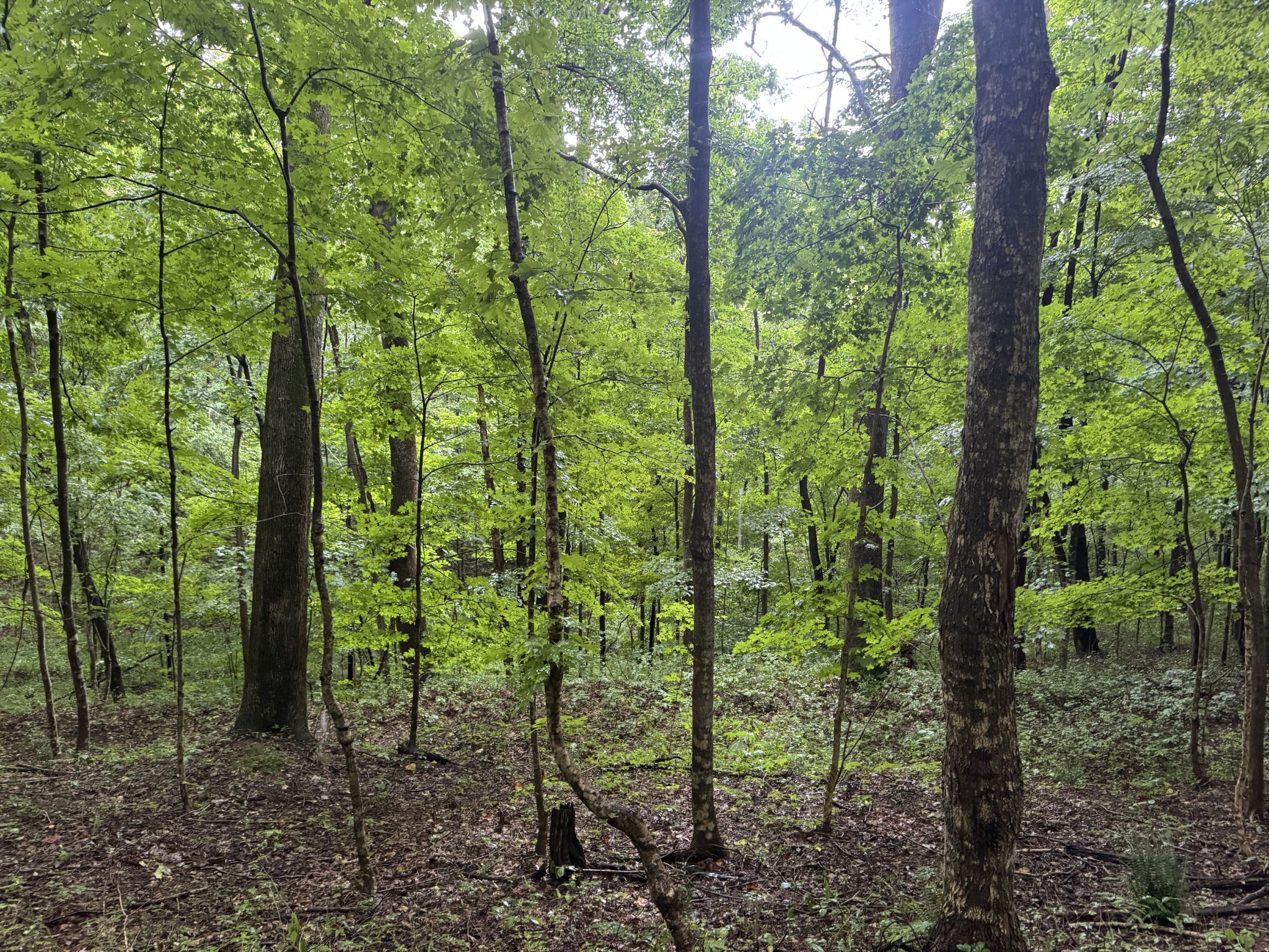 0 Petty Gap Rd Property Photo 1