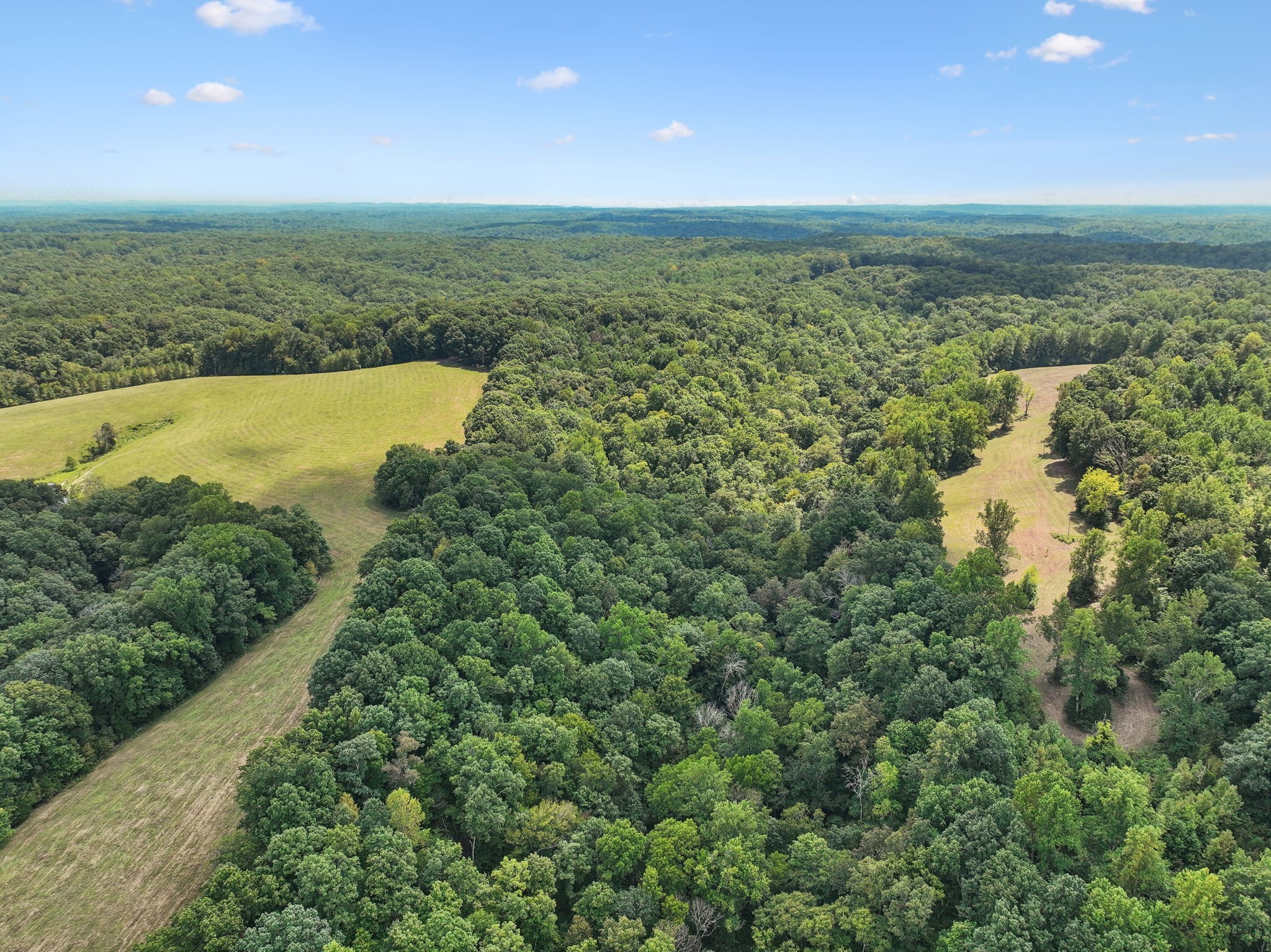 4 N Lick Creek Rd Property Photo 13