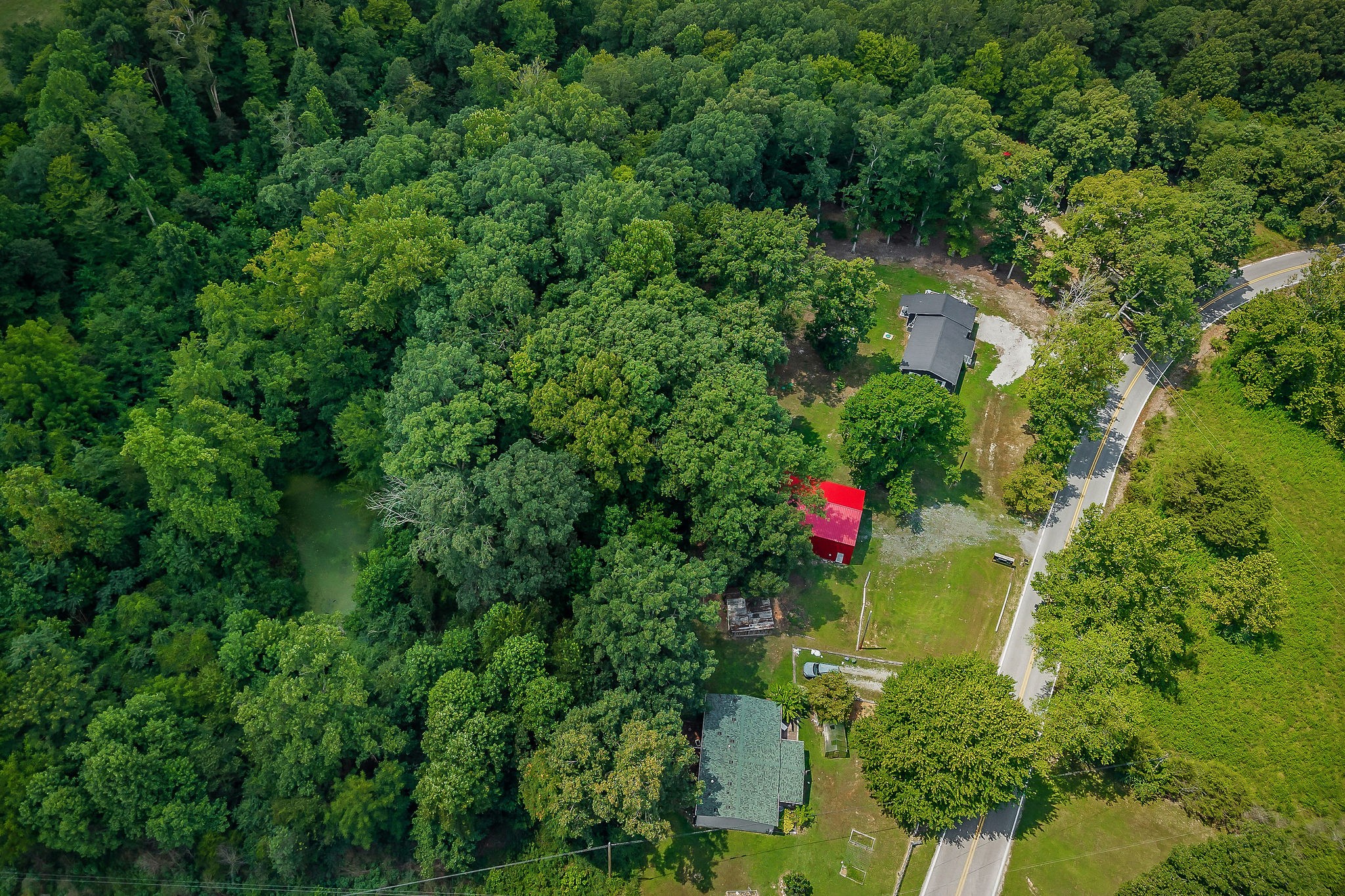 15112 Dodson Branch Hwy Property Photo 6