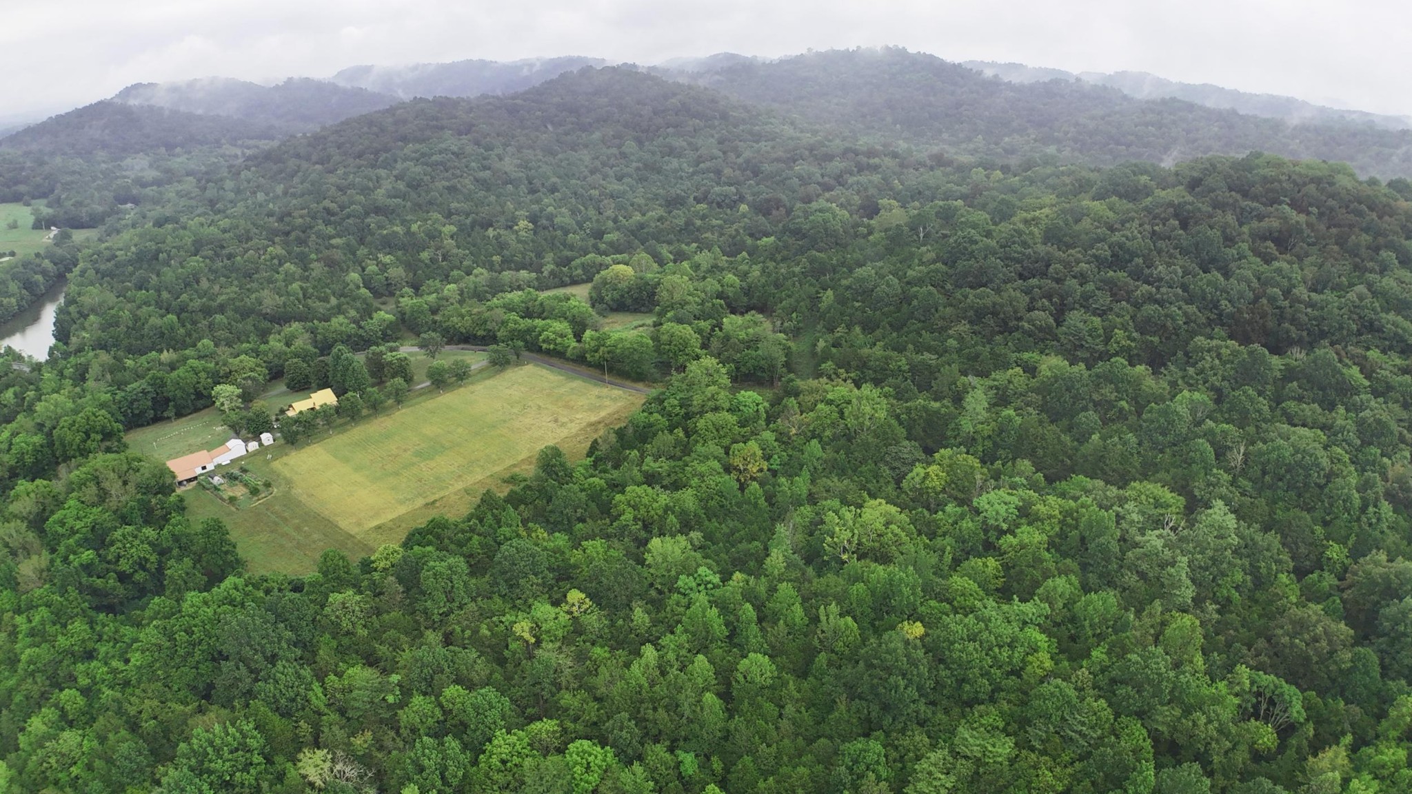 0 Reece Hollow Rd Property Photo 6