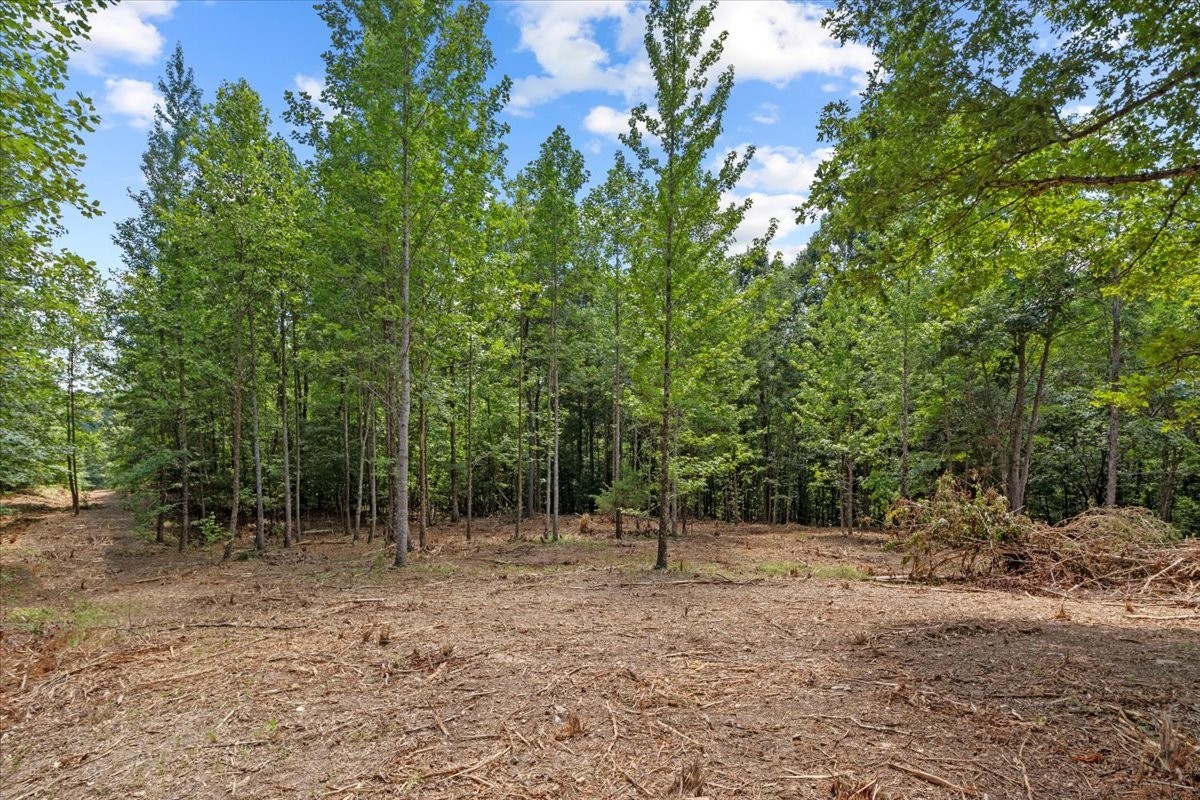 0 Upper Creek Rd Property Photo 5