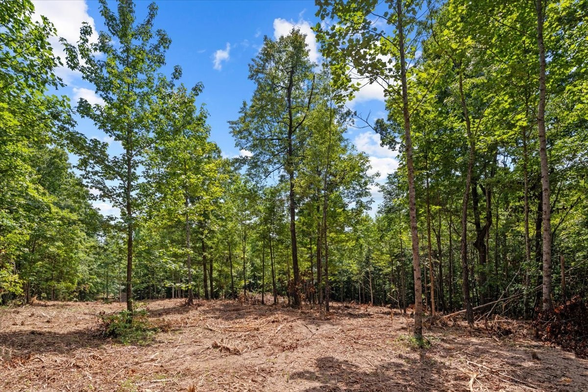 0 Upper Creek Rd Property Photo 6